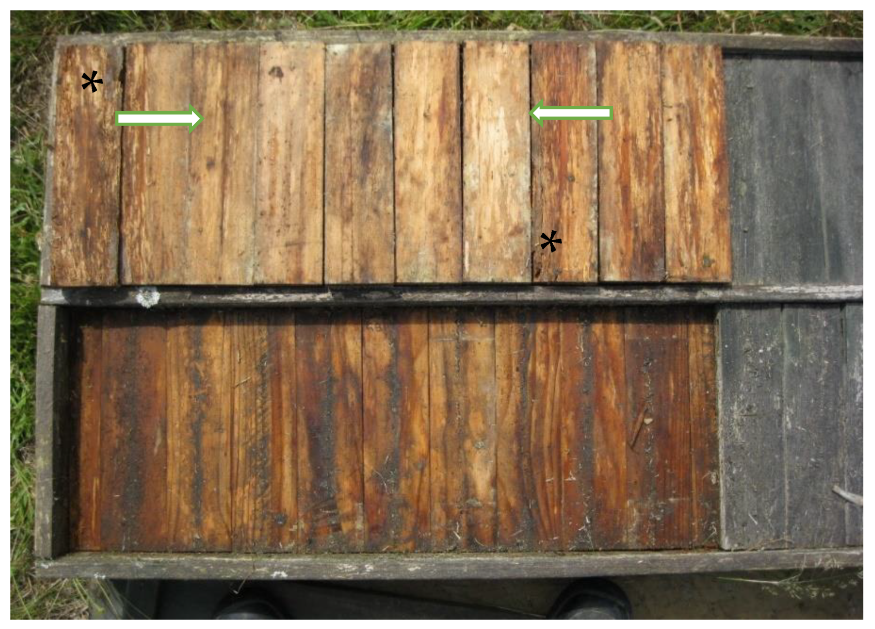 Forests 11 00559 g006