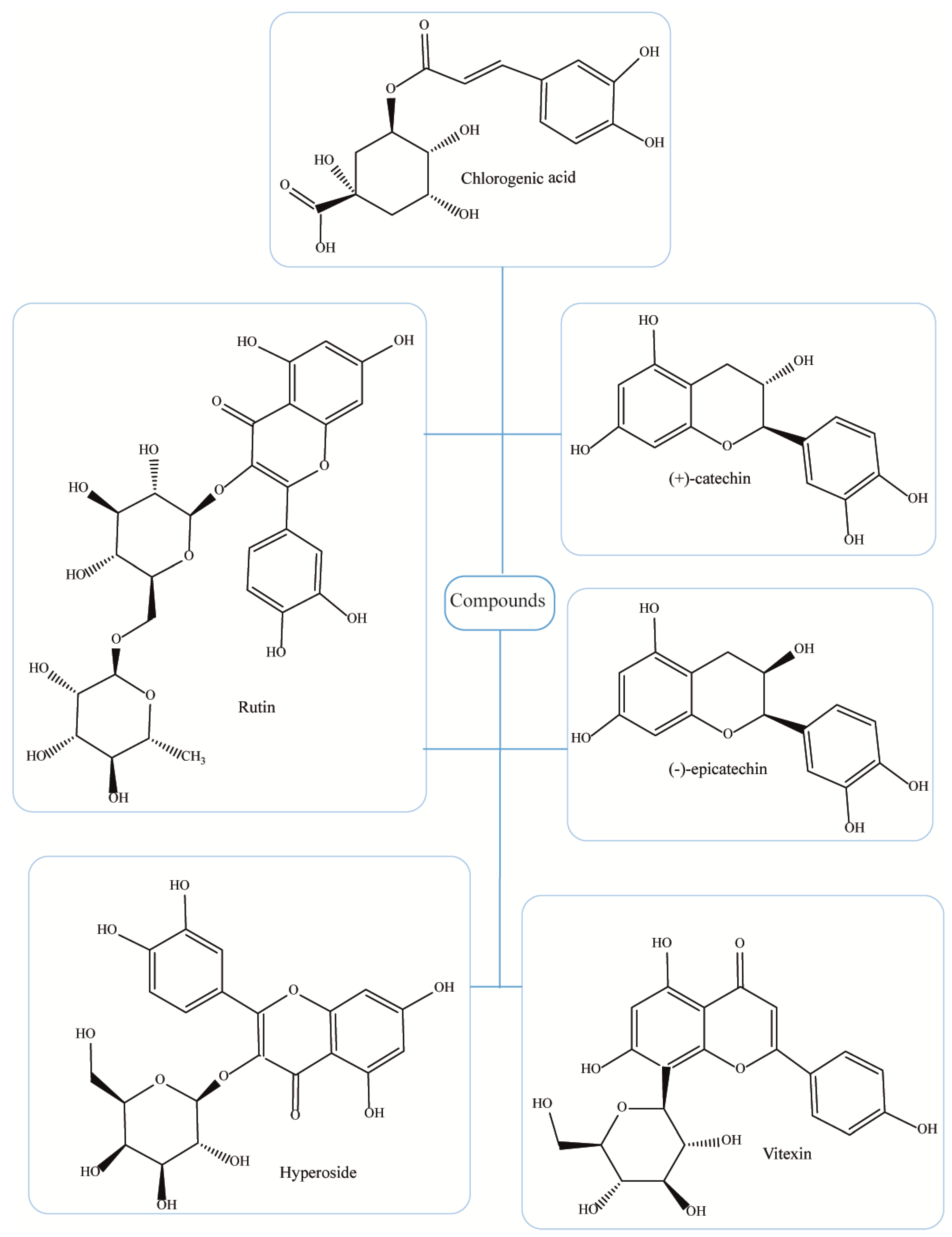 Forests 11 00564 g002 Forests 11 00564 g002
