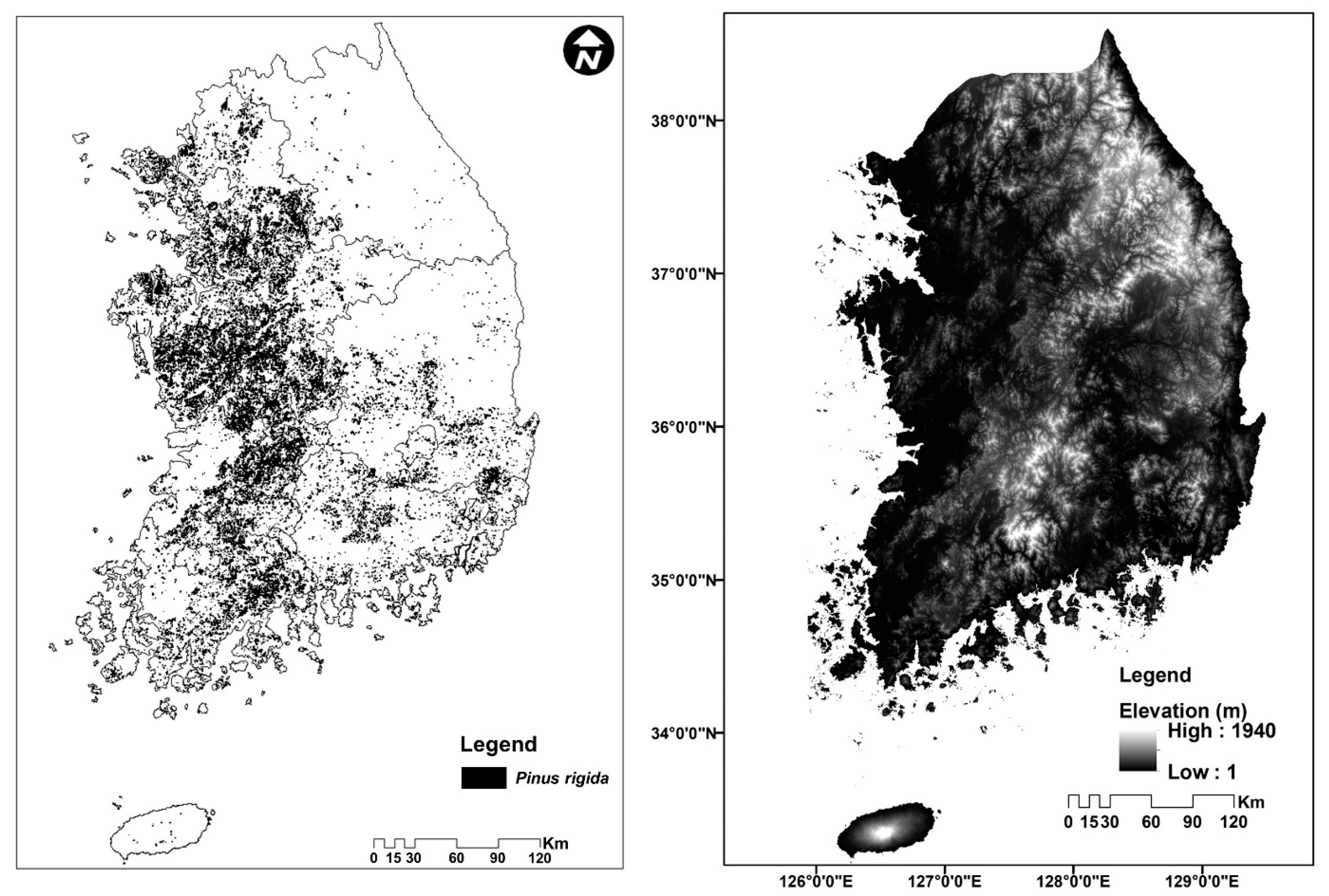 Forests 11 00568 g002
