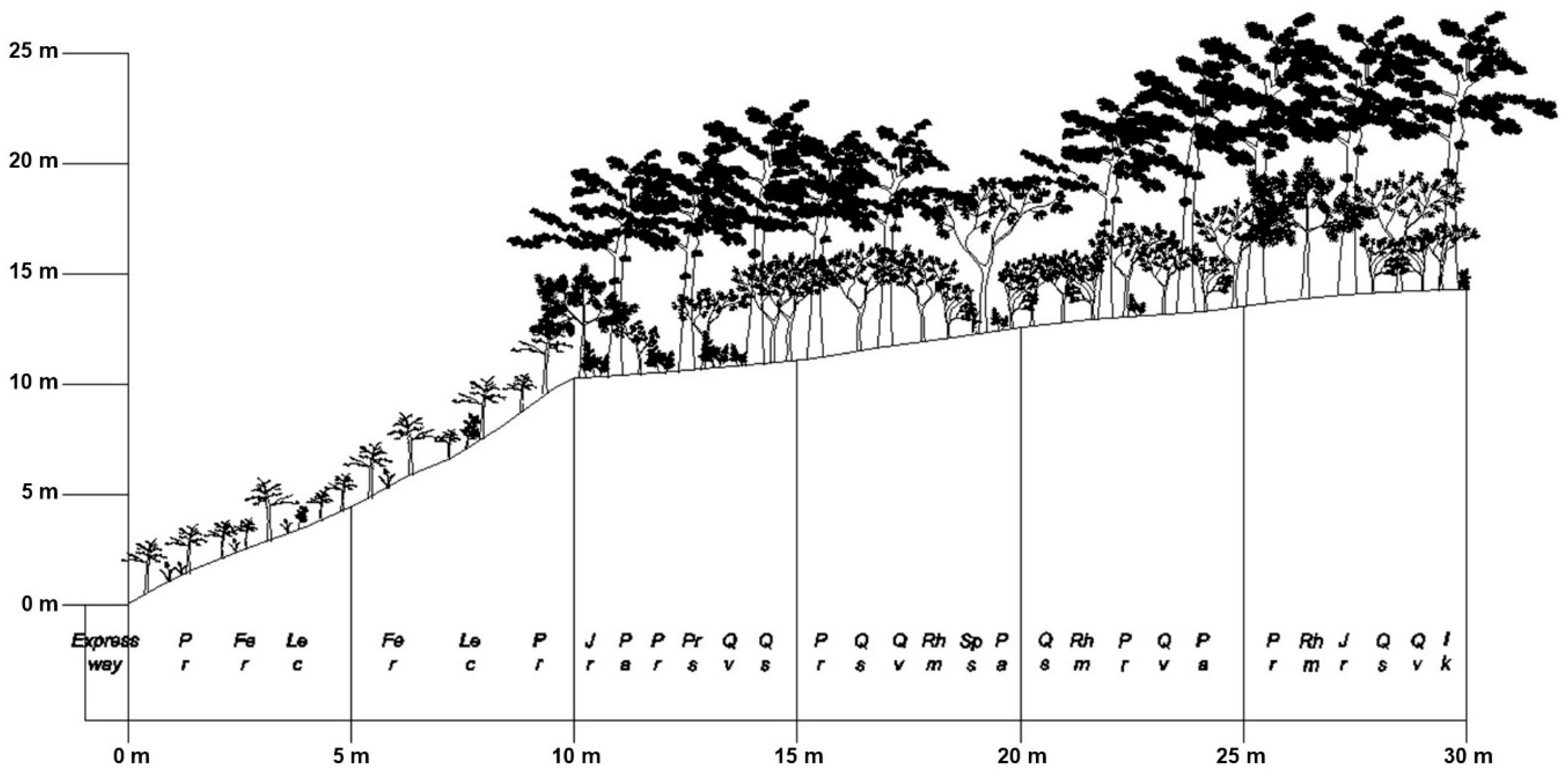 Forests 11 00568 g009