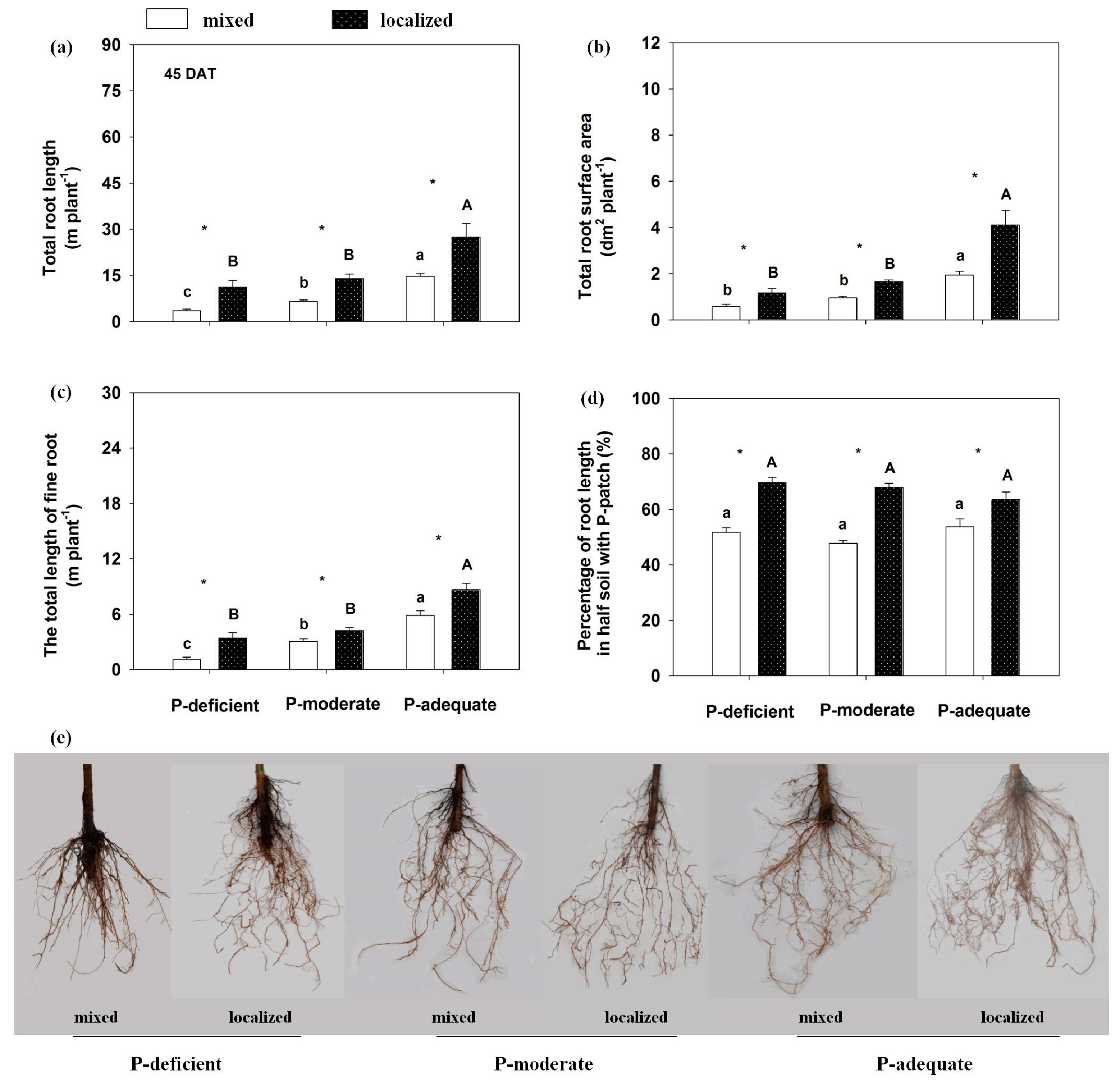 Forests 11 00570 g001 Forests 11 00570 g001