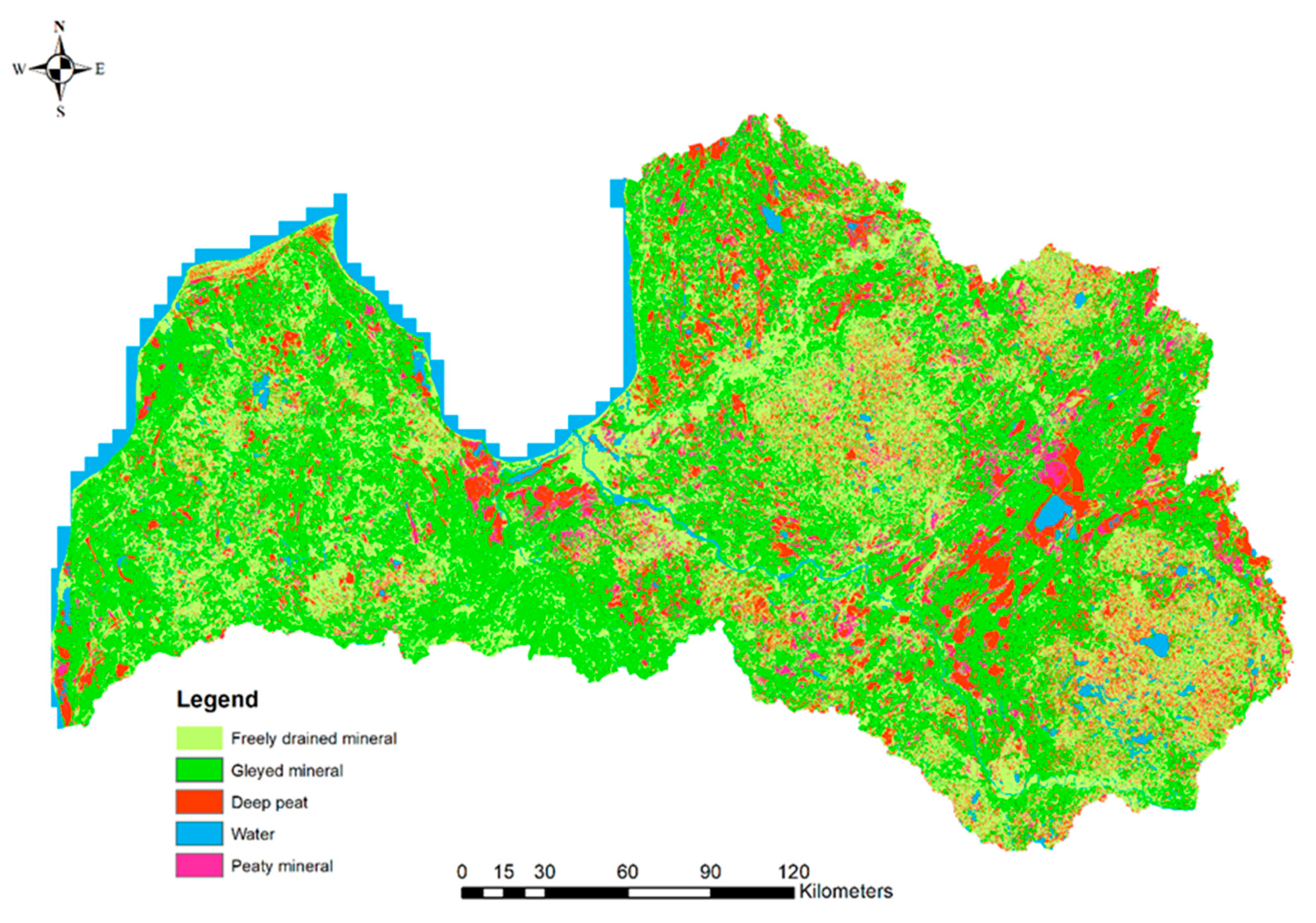 Forests 11 00576 g001