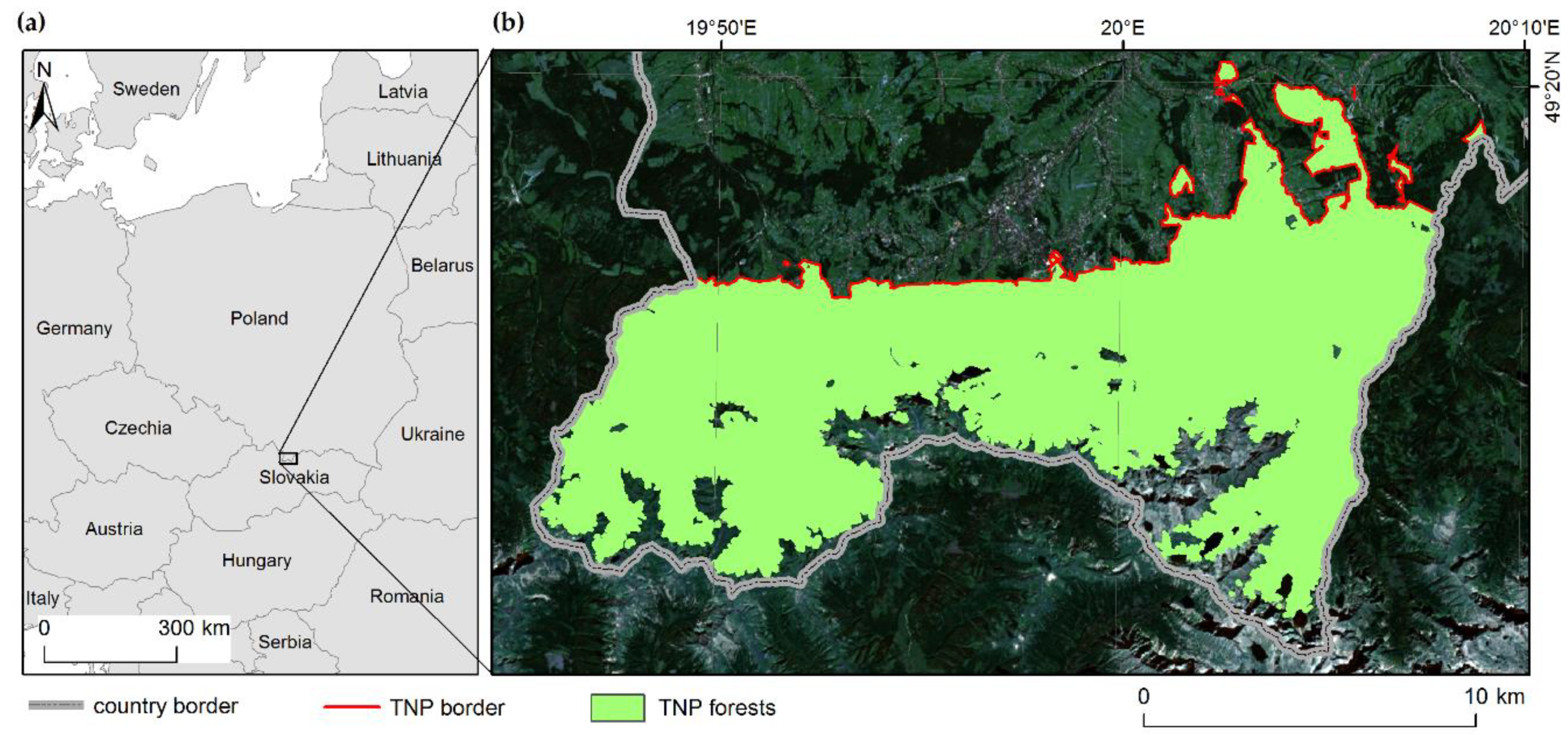 Forests 11 00579 g001 Forests 11 00579 g001