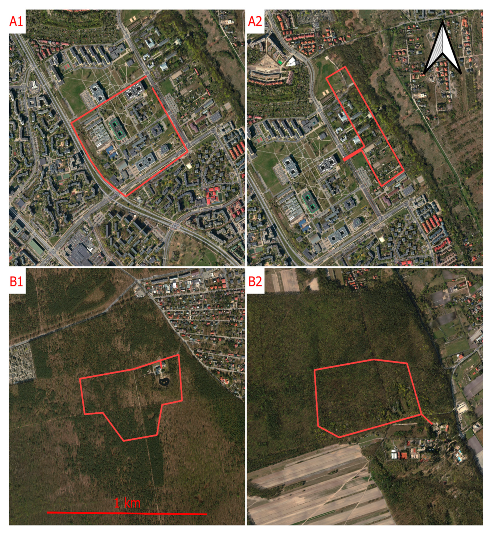 Forests 11 00591 g001