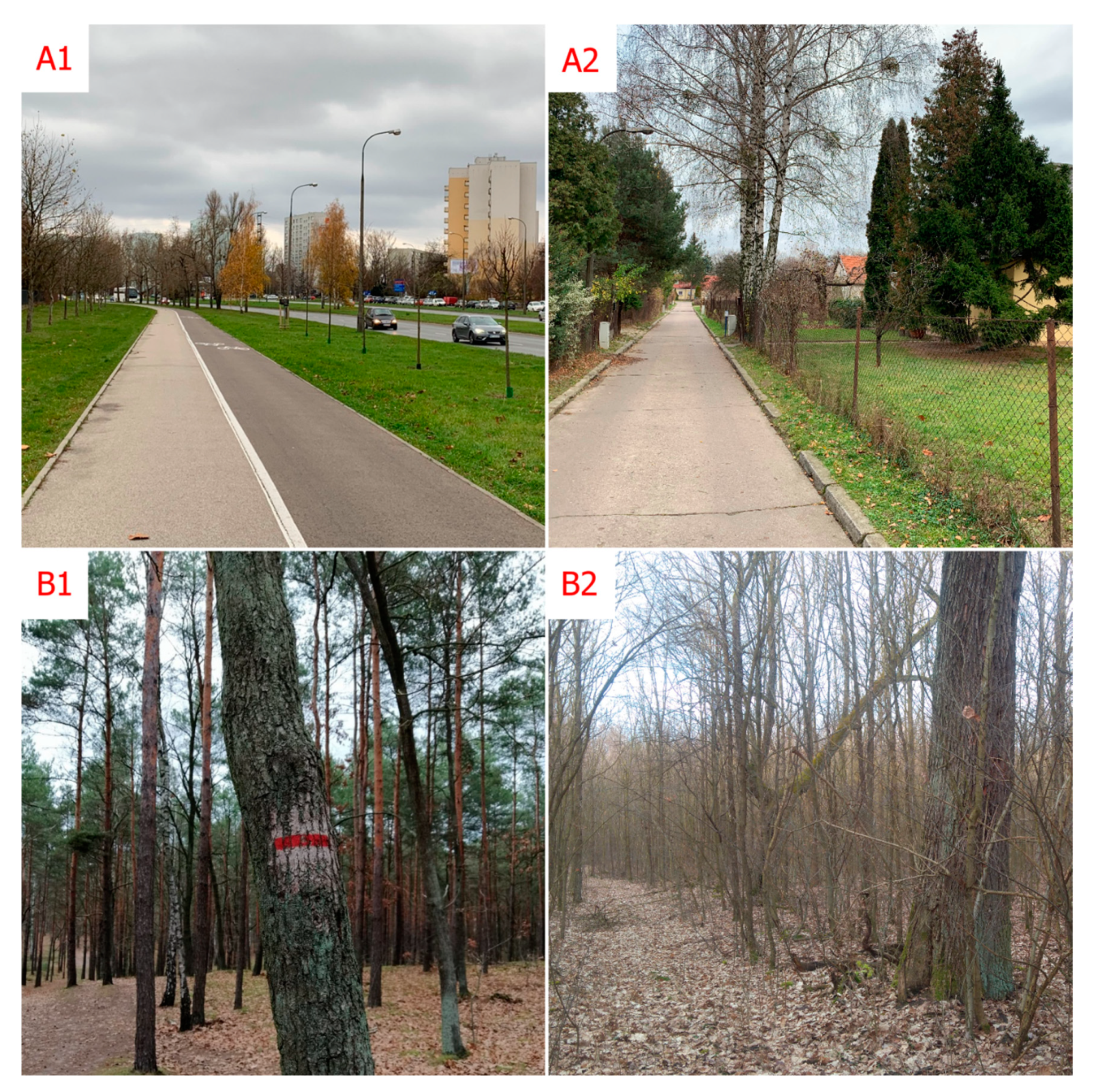 Forests 11 00591 g002