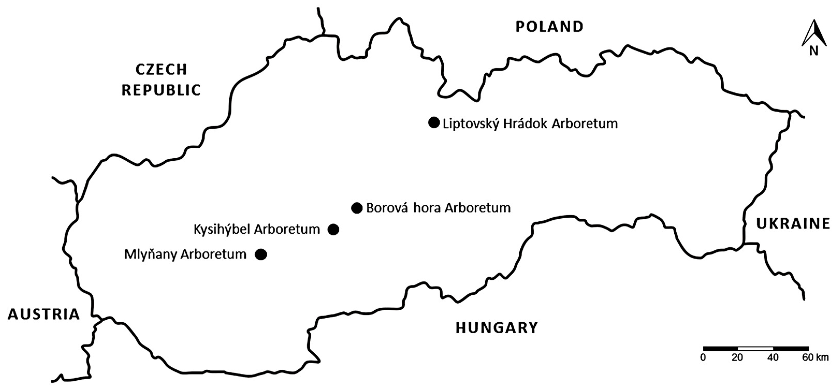 Forests 11 00596 g001