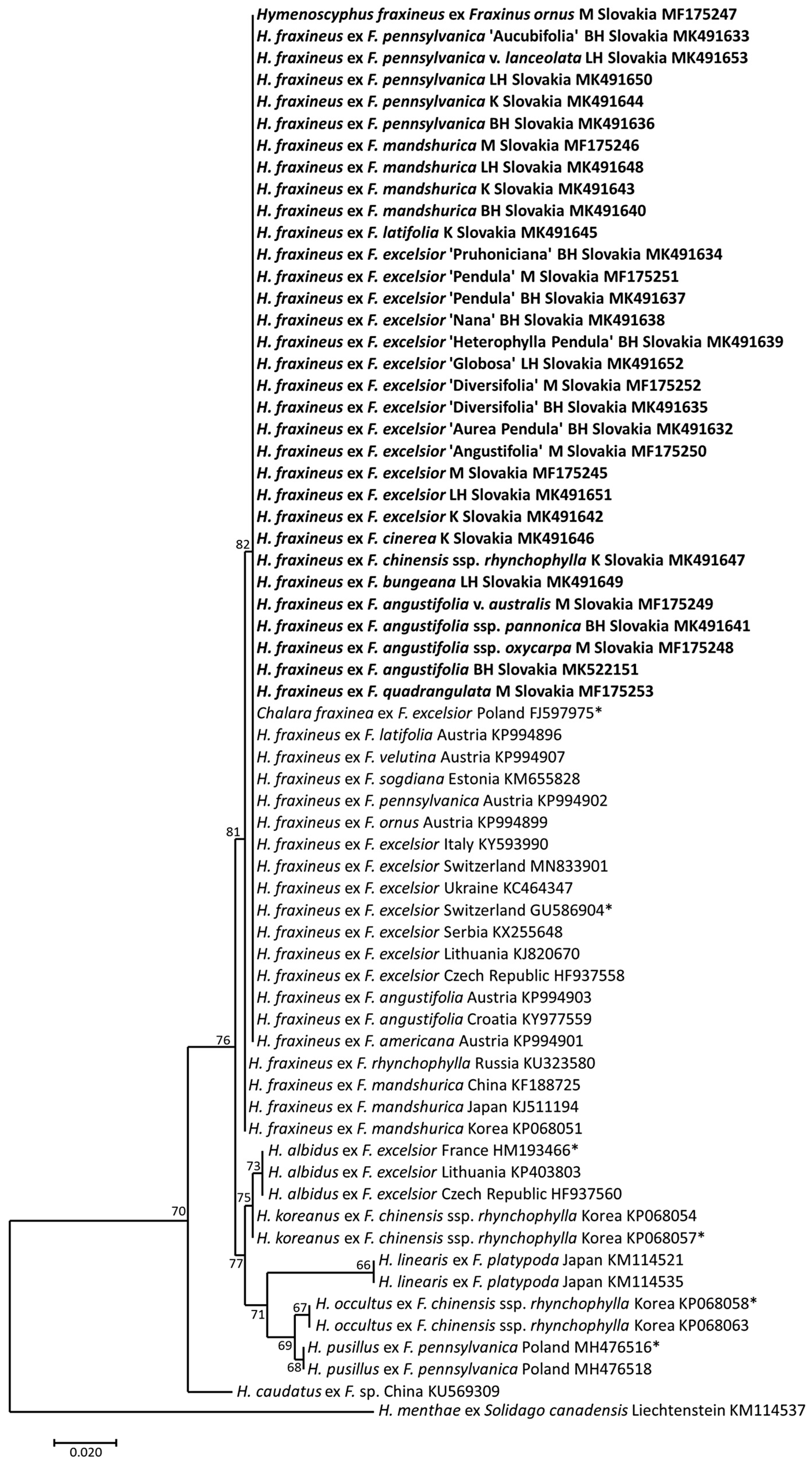 Forests 11 00596 g006
