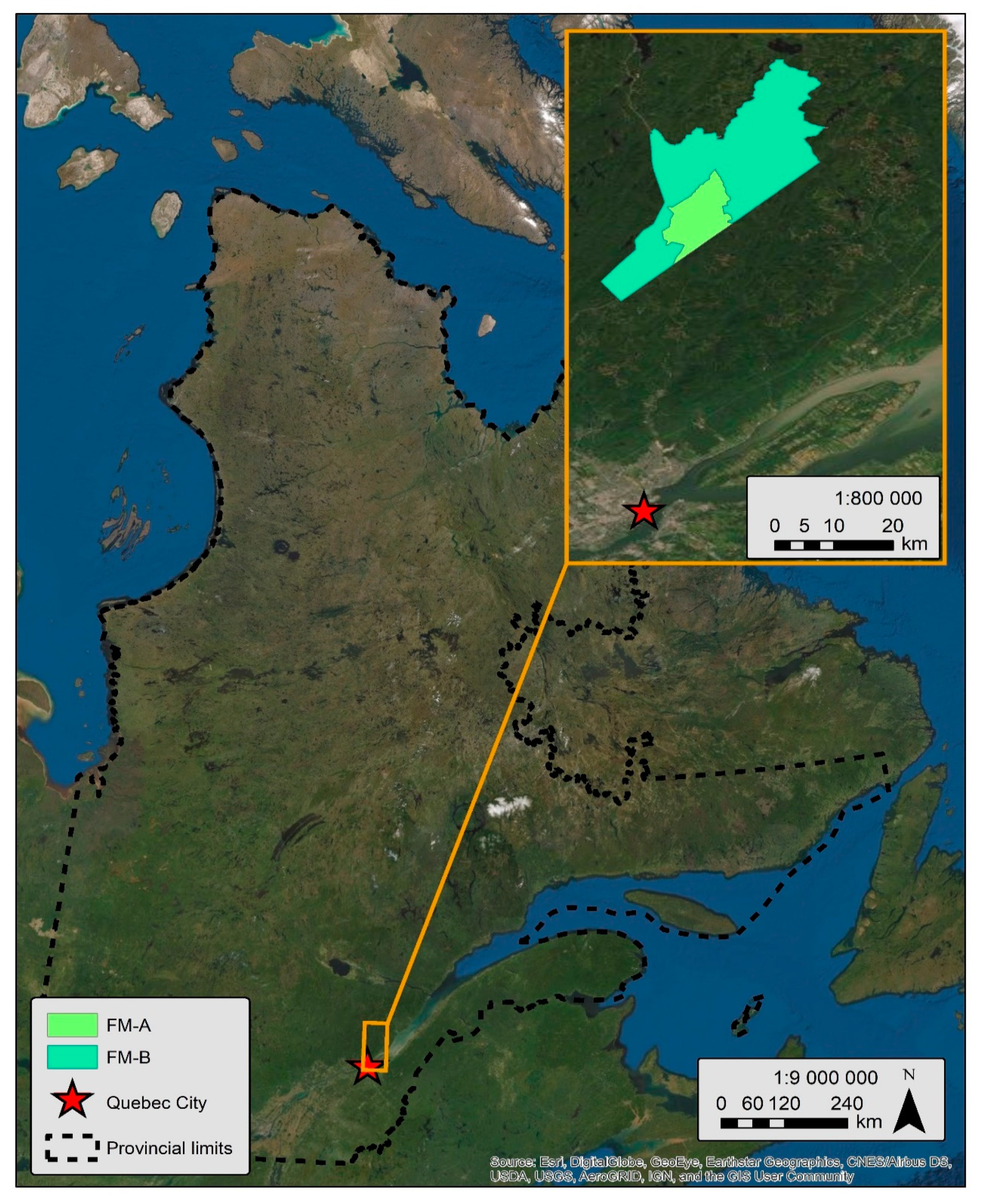 Forests 11 00601 g0a1