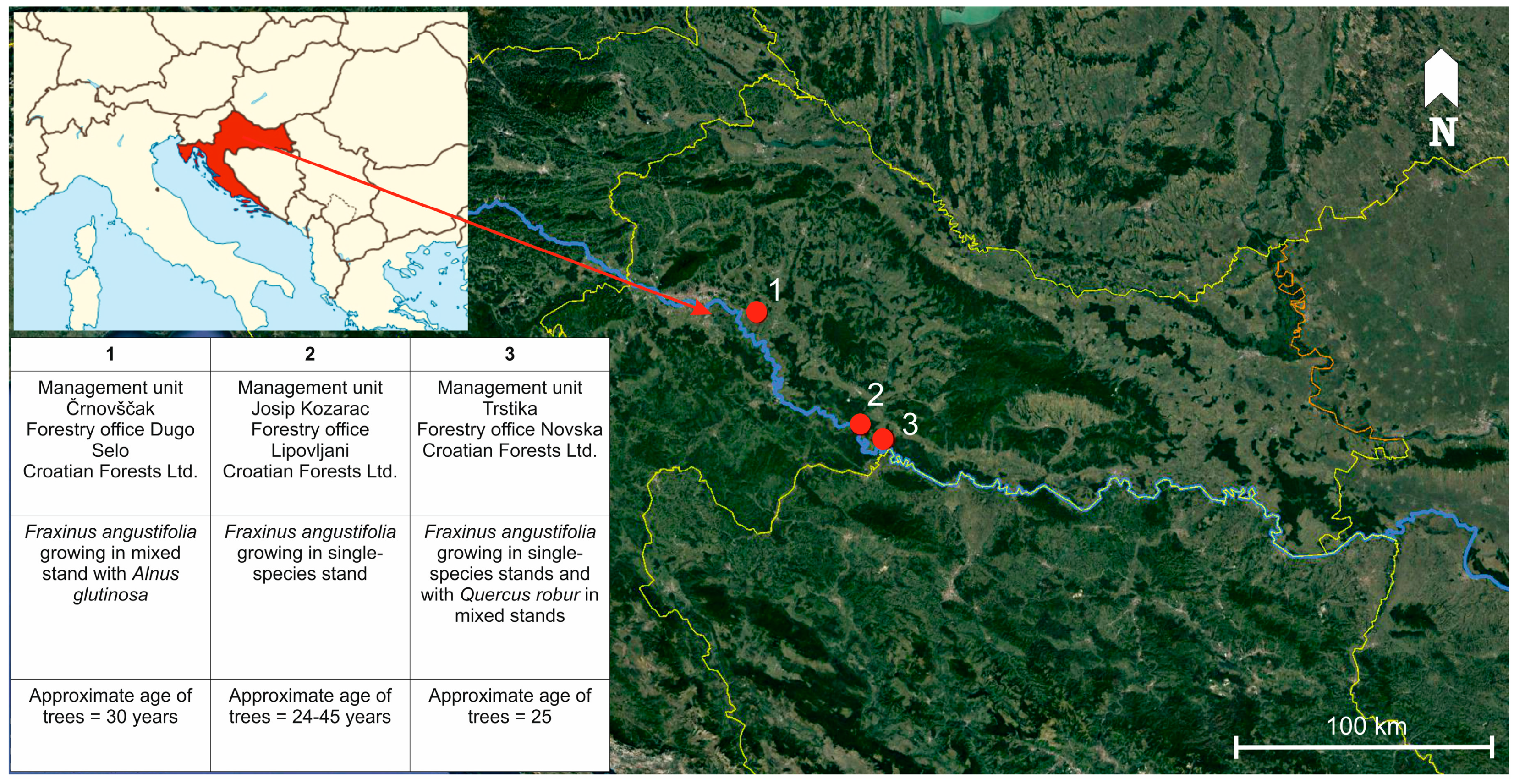 Forests 11 00607 g001