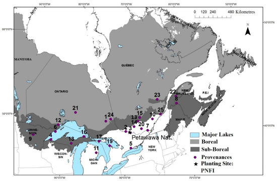 Forests 11 00609 g0a1