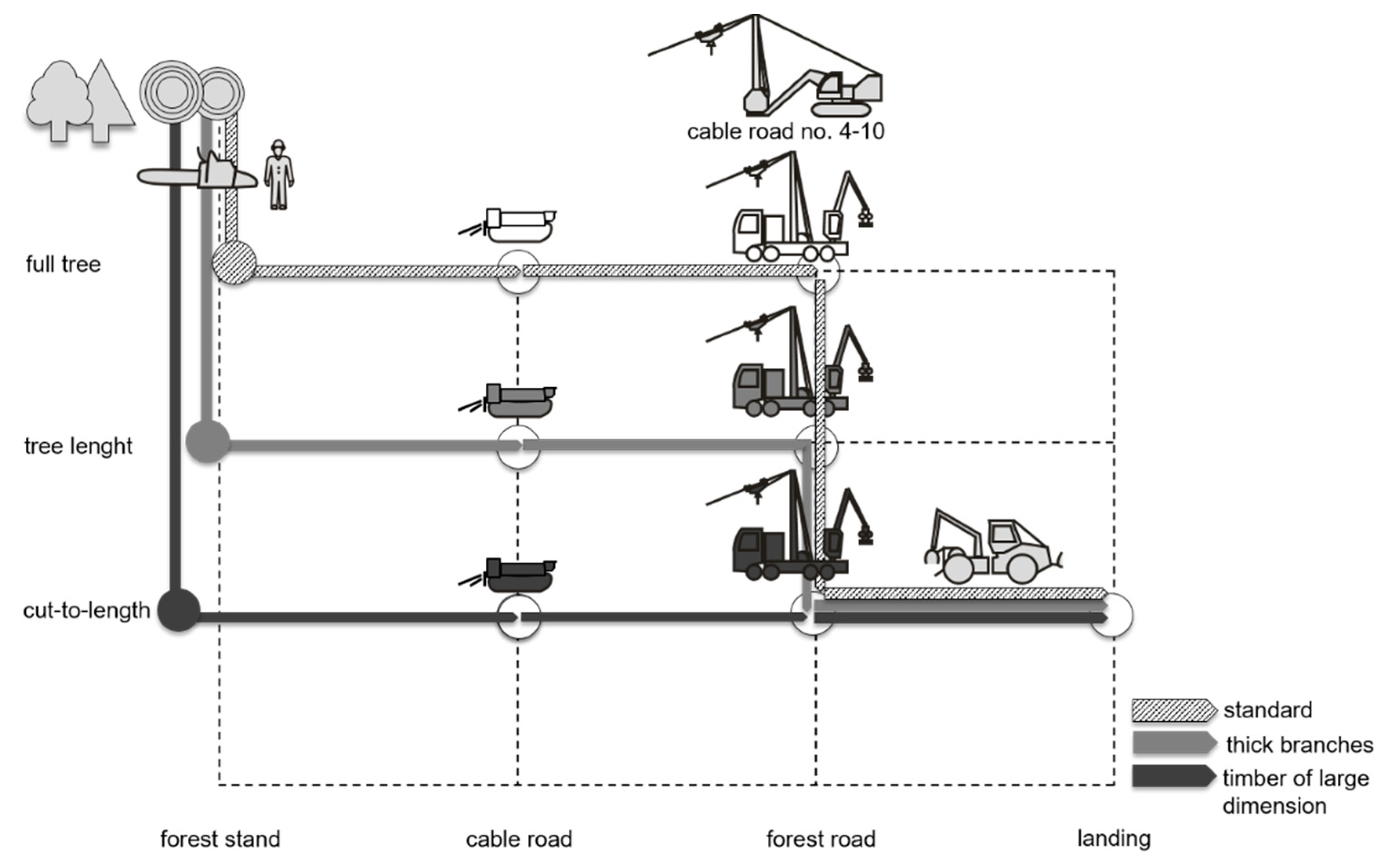 Forests 11 00611 g001