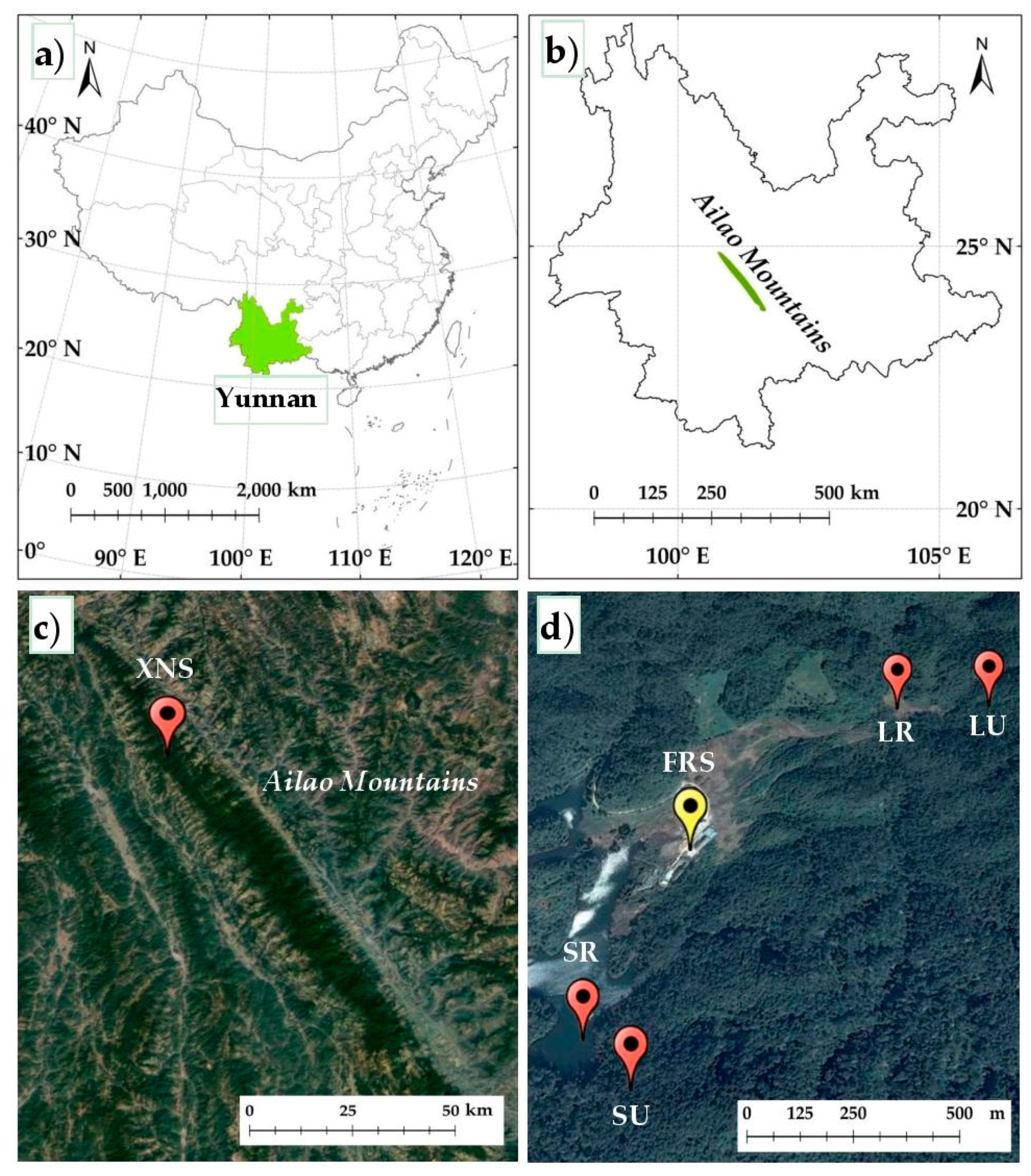 Forests 11 00645 g001 Forests 11 00645 g001