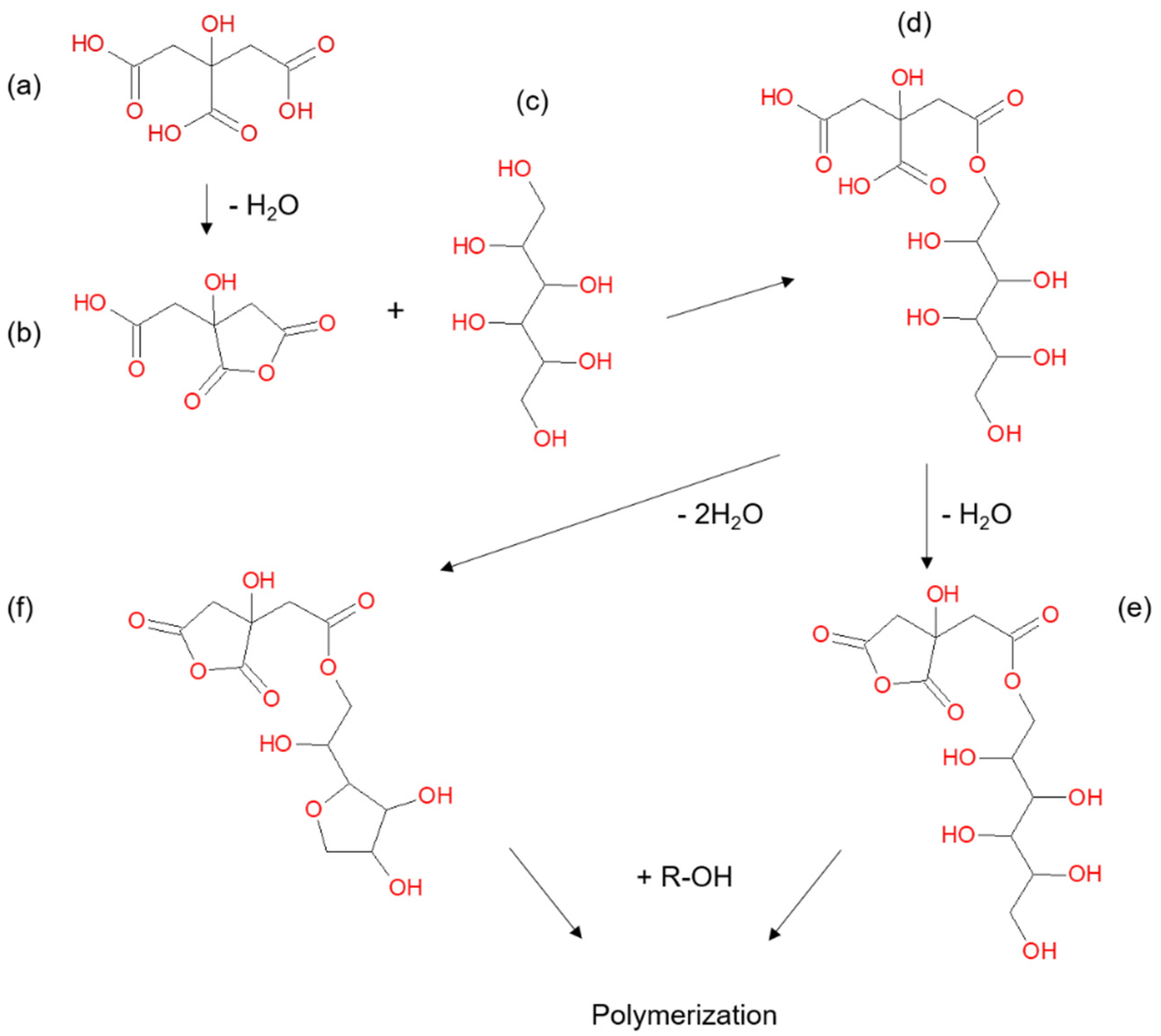 Forests 11 00650 g001