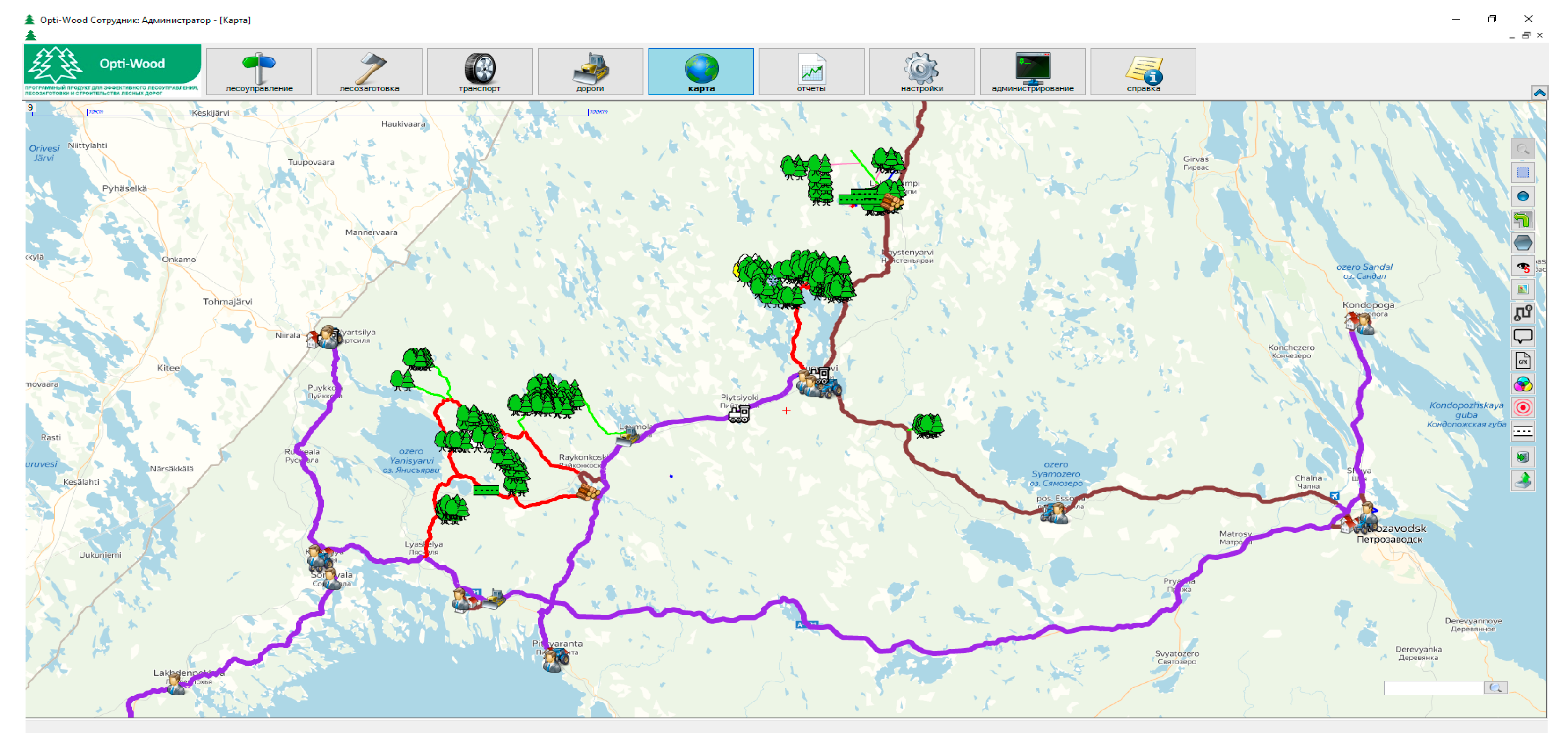 Forests 11 00662 g001