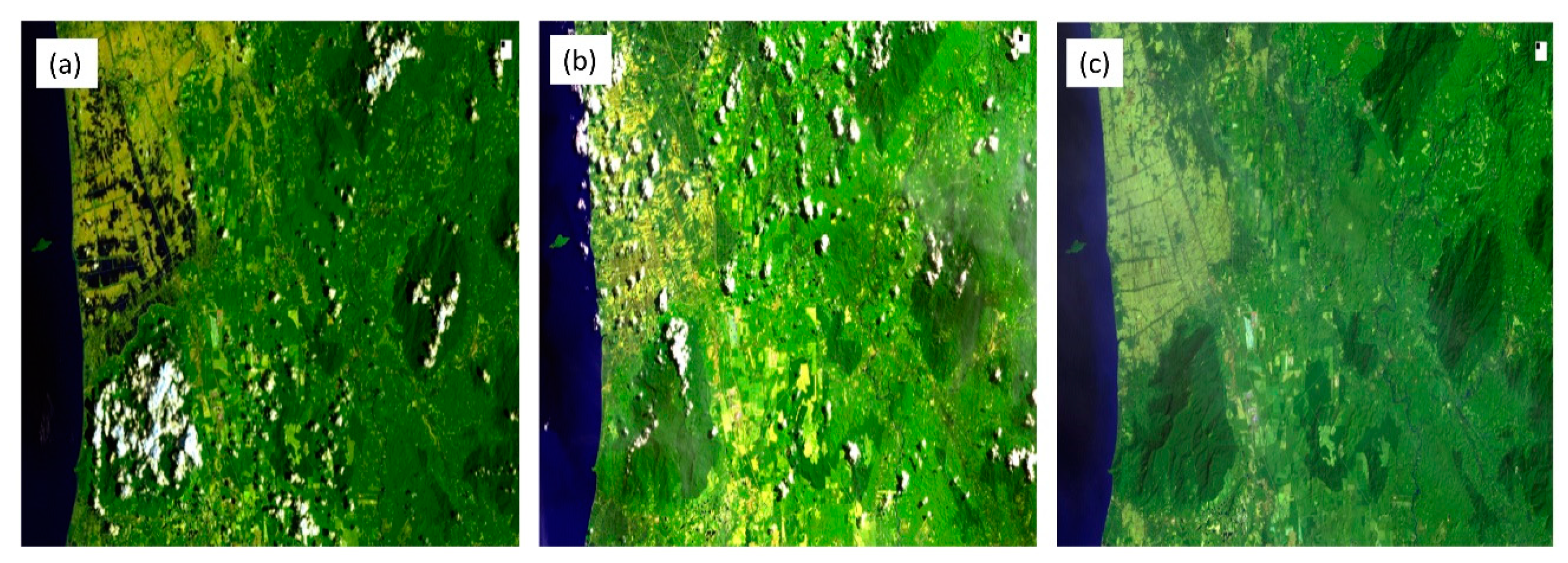 Forests 11 00670 g002 Forests 11 00670 g002