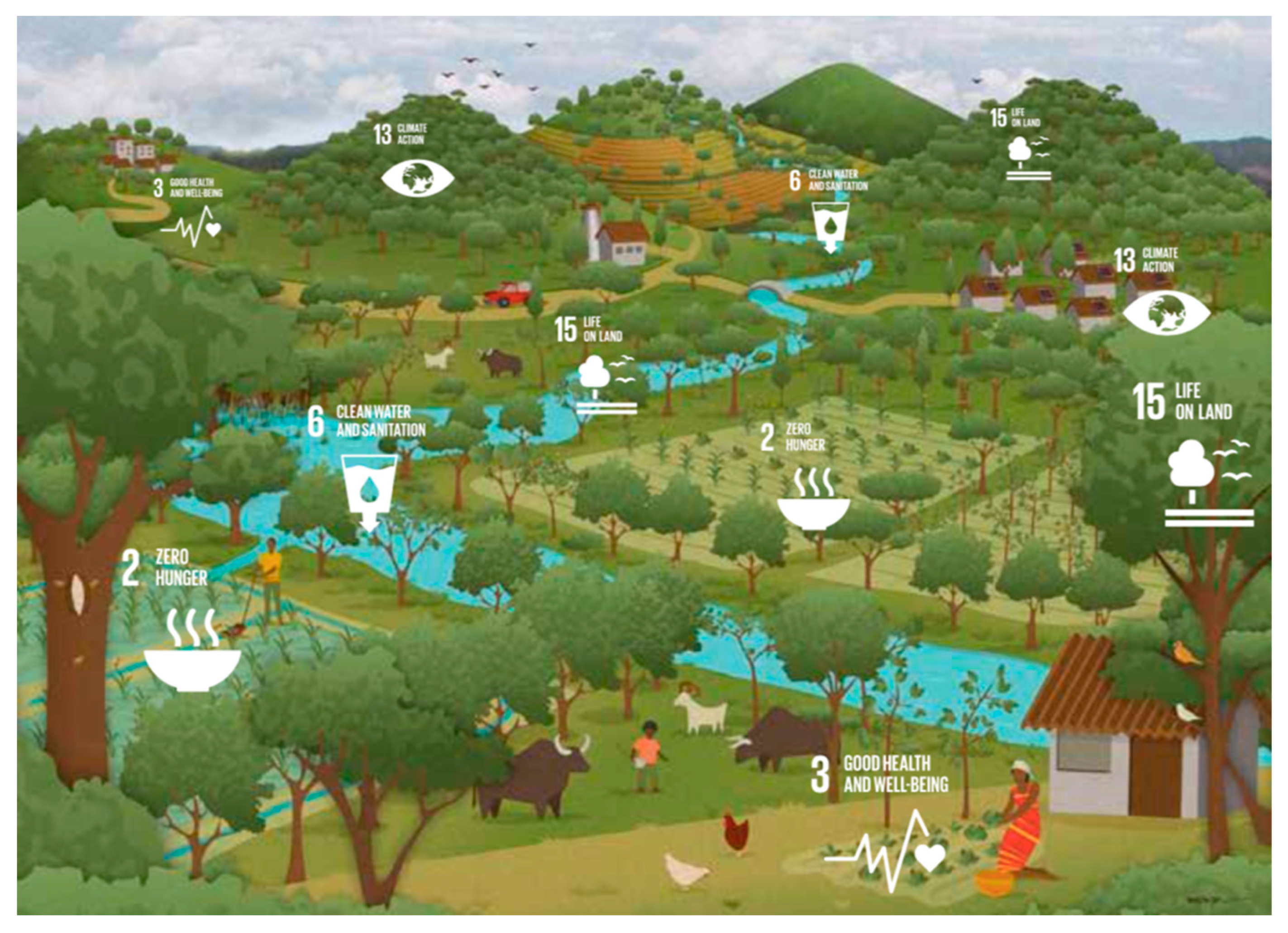 Forests 11 00685 g001