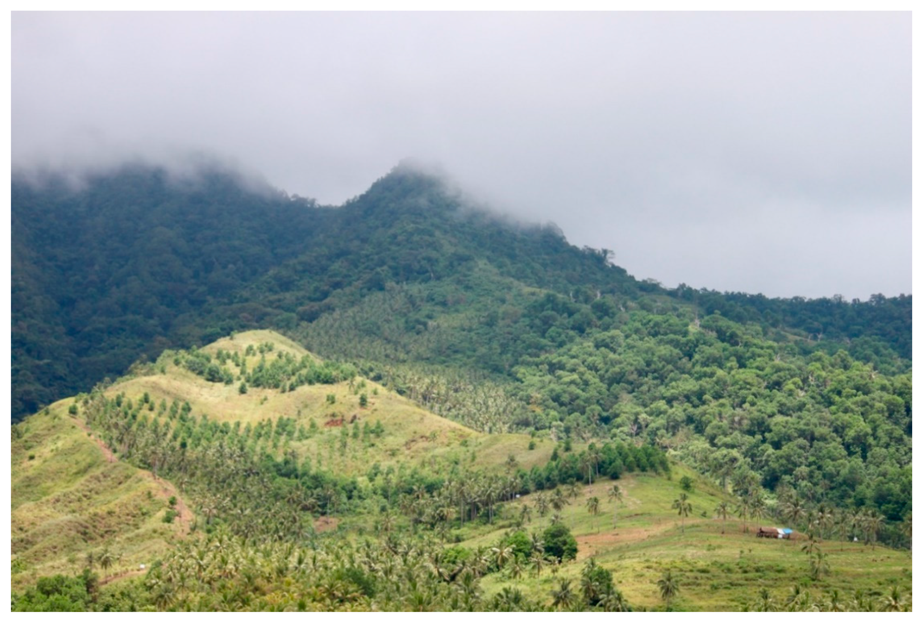 Forests 11 00685 g002