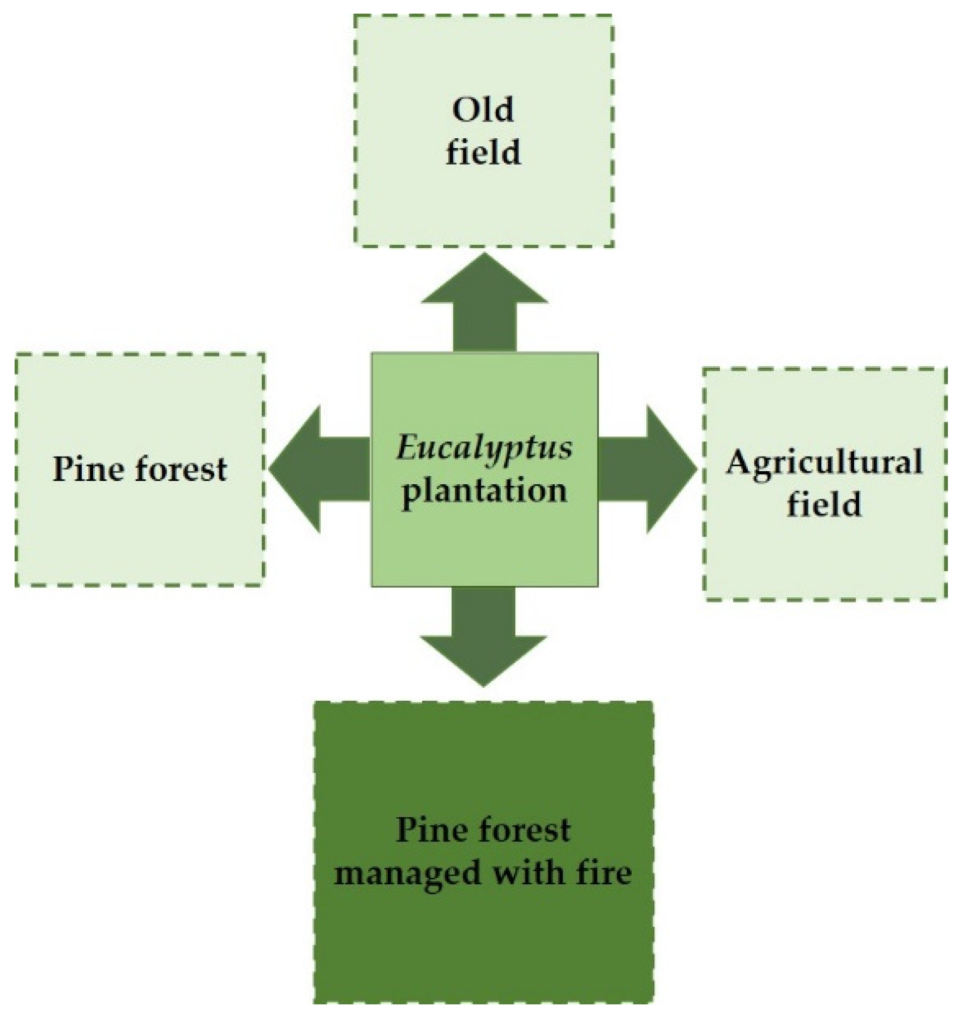 Forests 11 00694 g001 Forests 11 00694 g001
