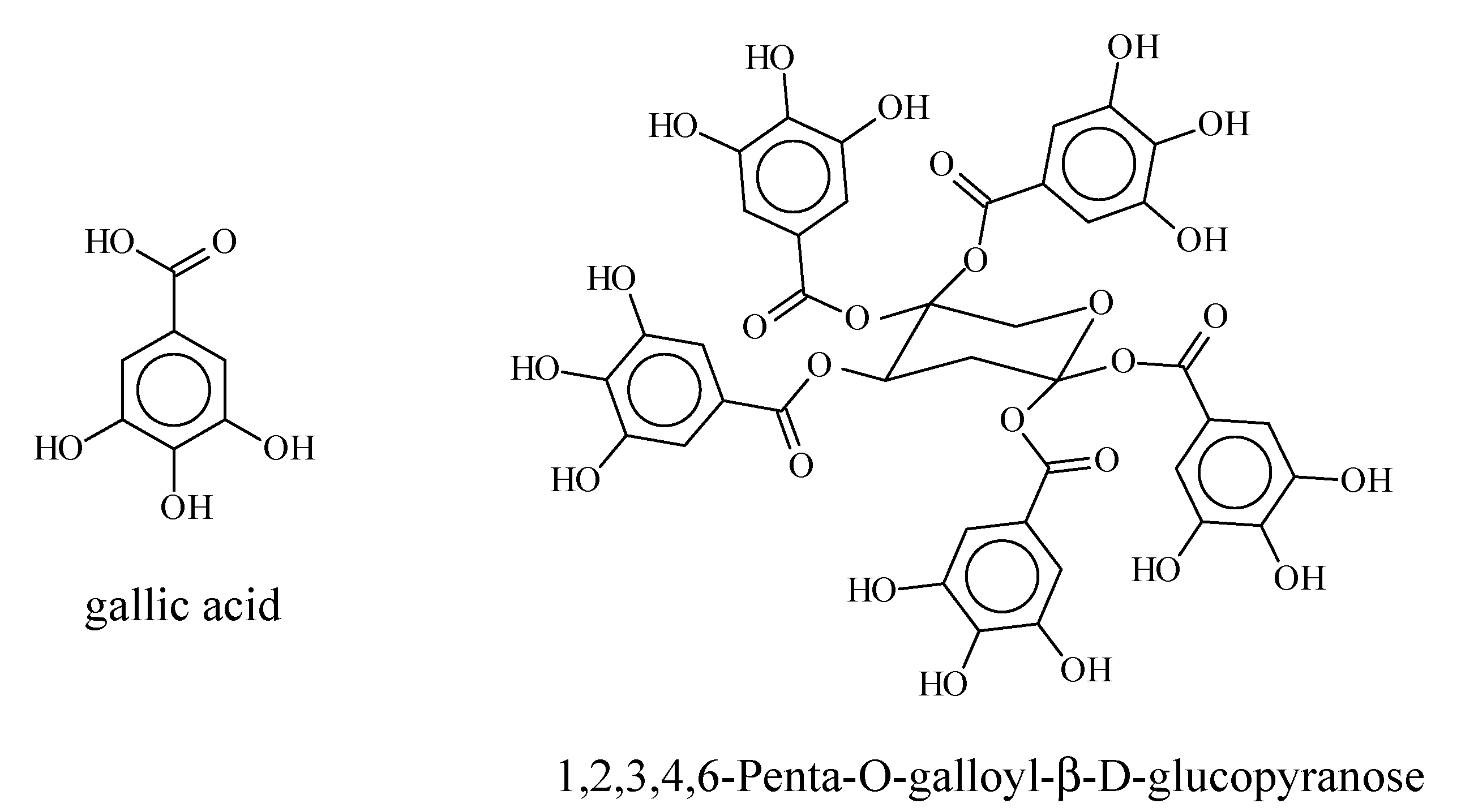Forests 11 00705 sch001