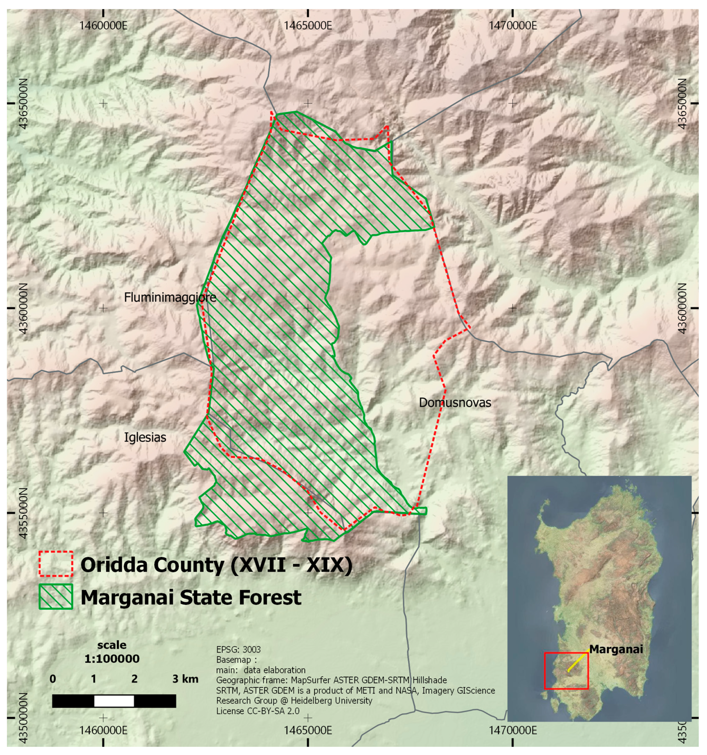 Forests 11 00708 g001
