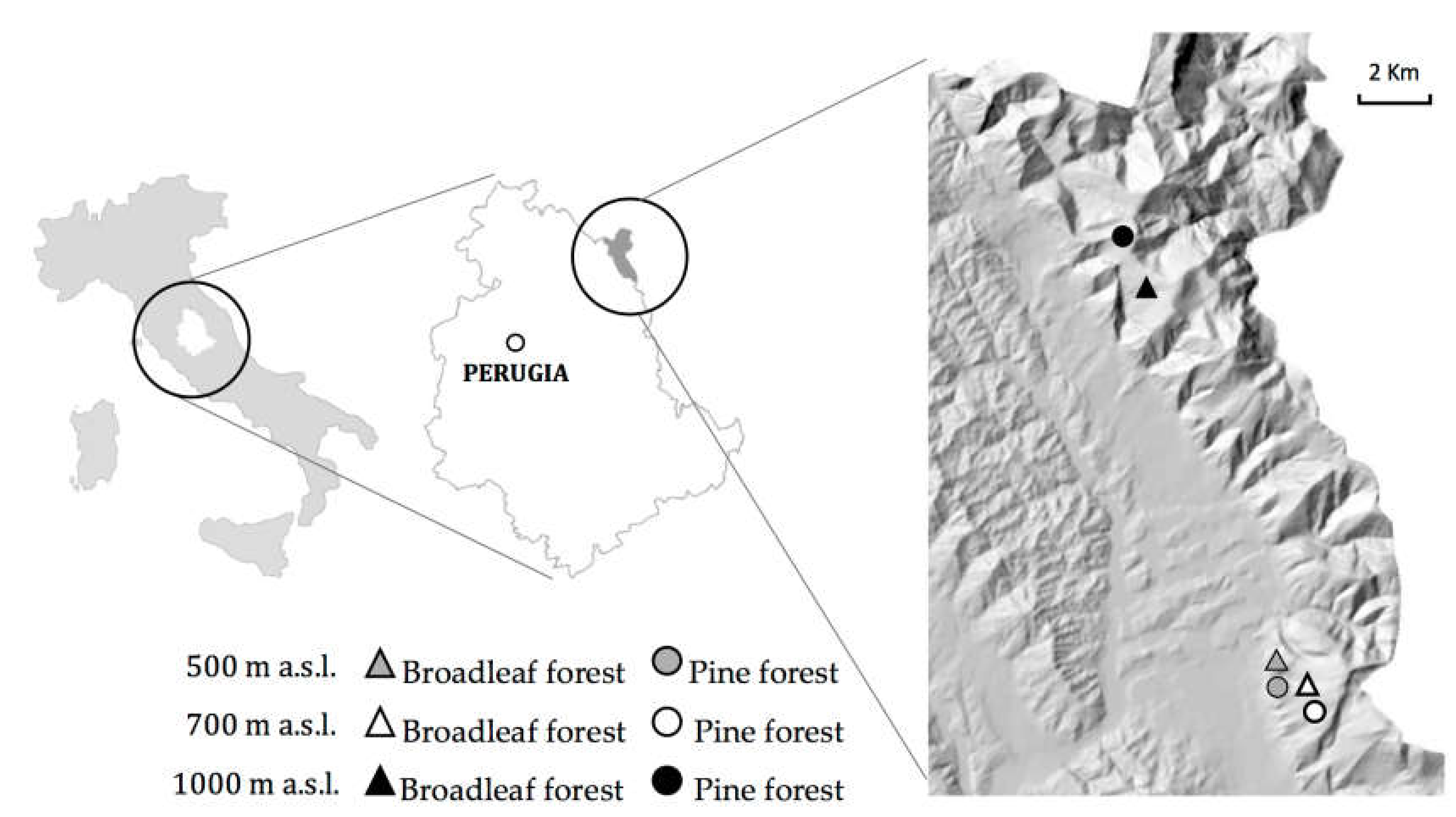 Forests 11 00710 g001
