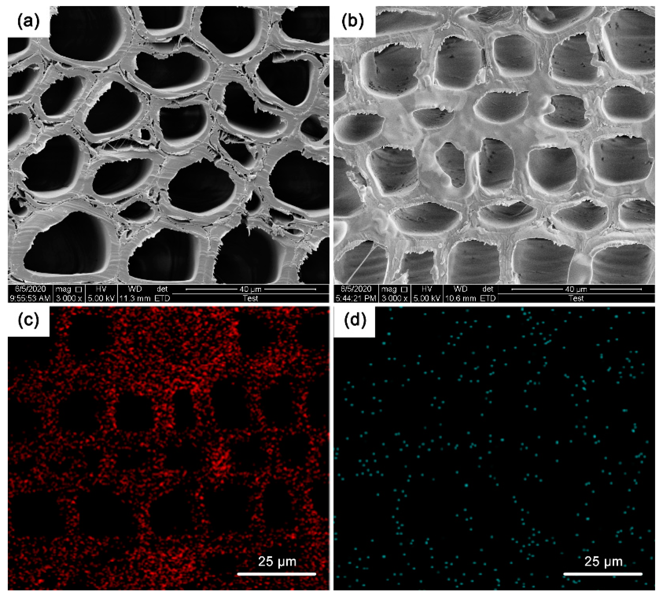 Forests 11 00726 g004