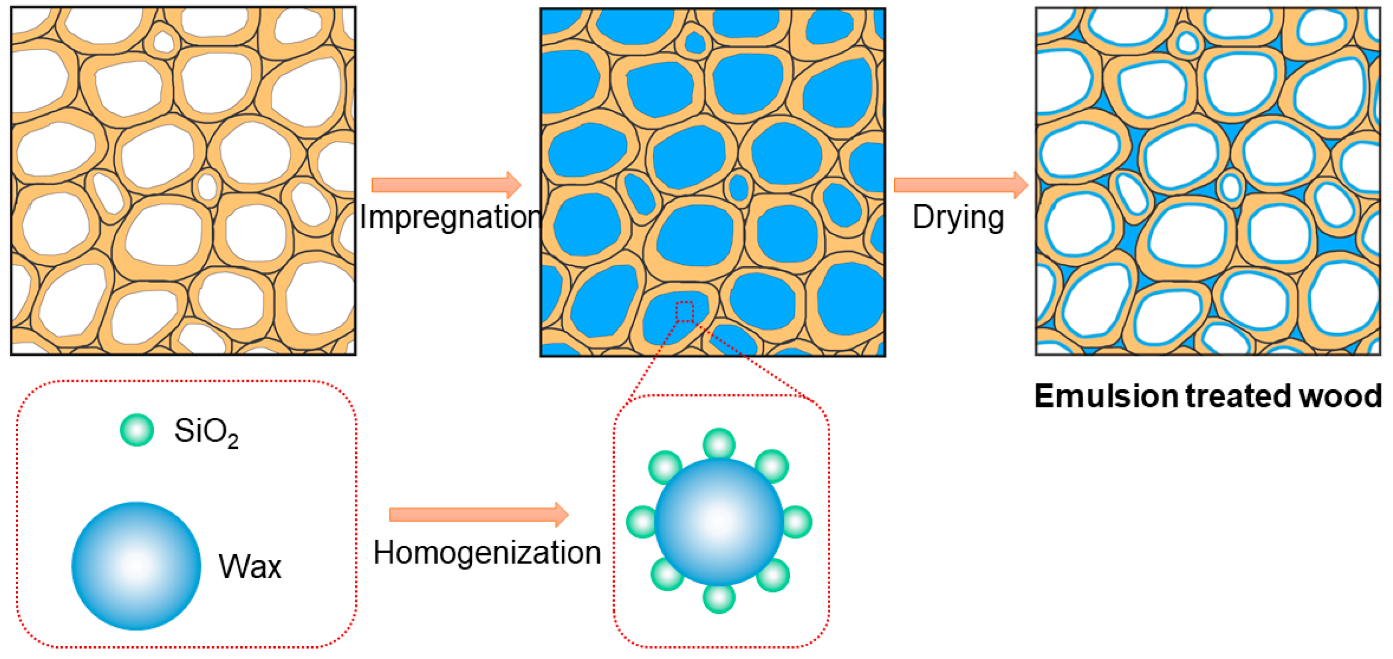 Forests 11 00726 g005