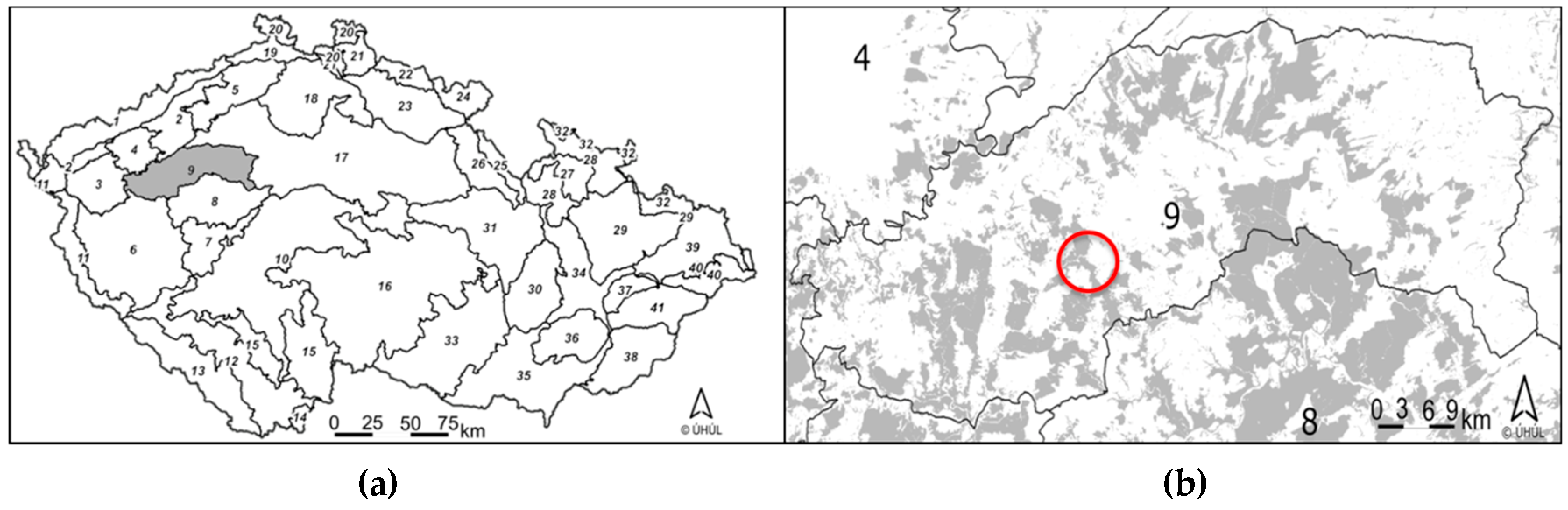 Forests 11 00730 g001