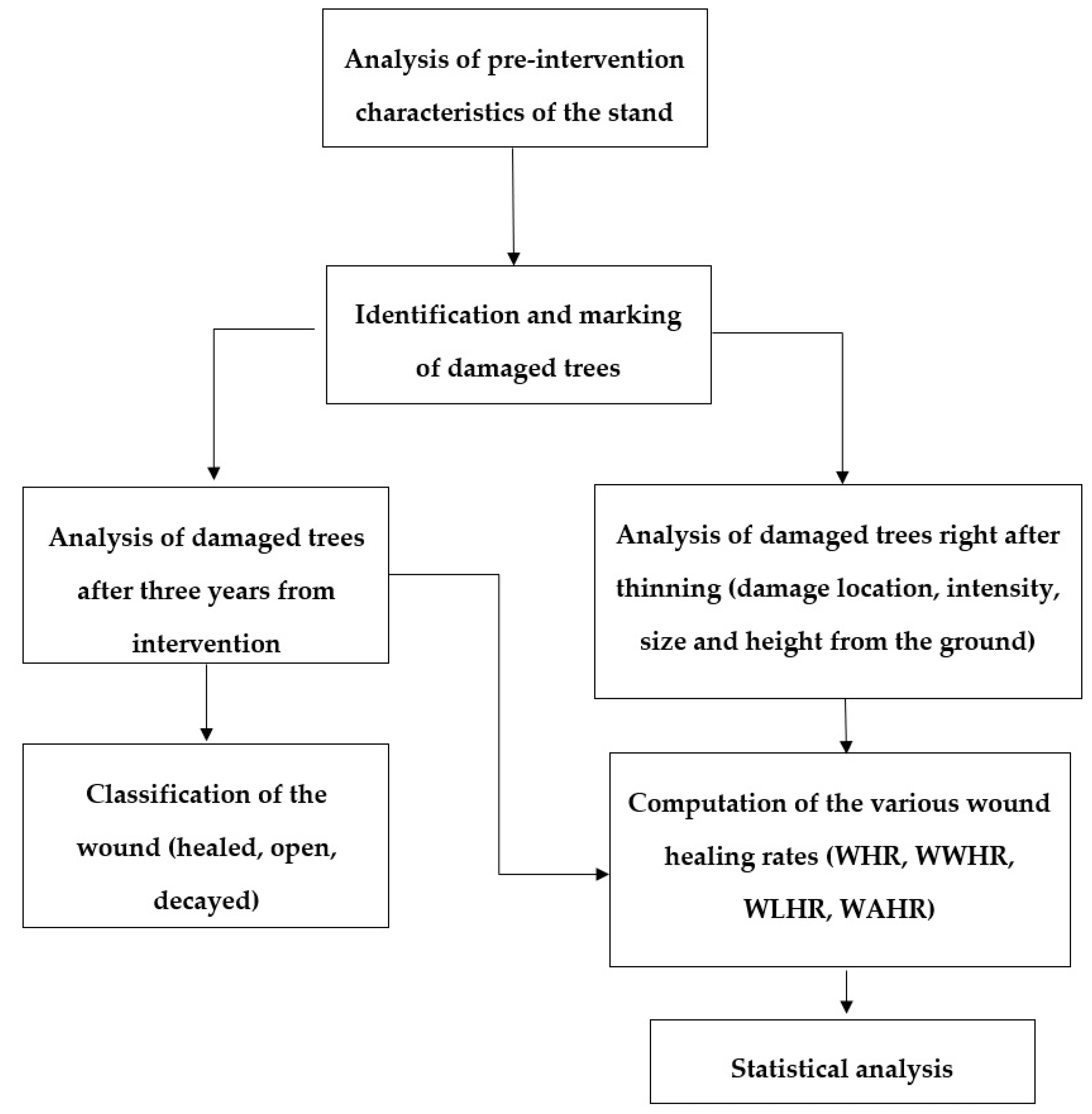 Forests 11 00731 g001