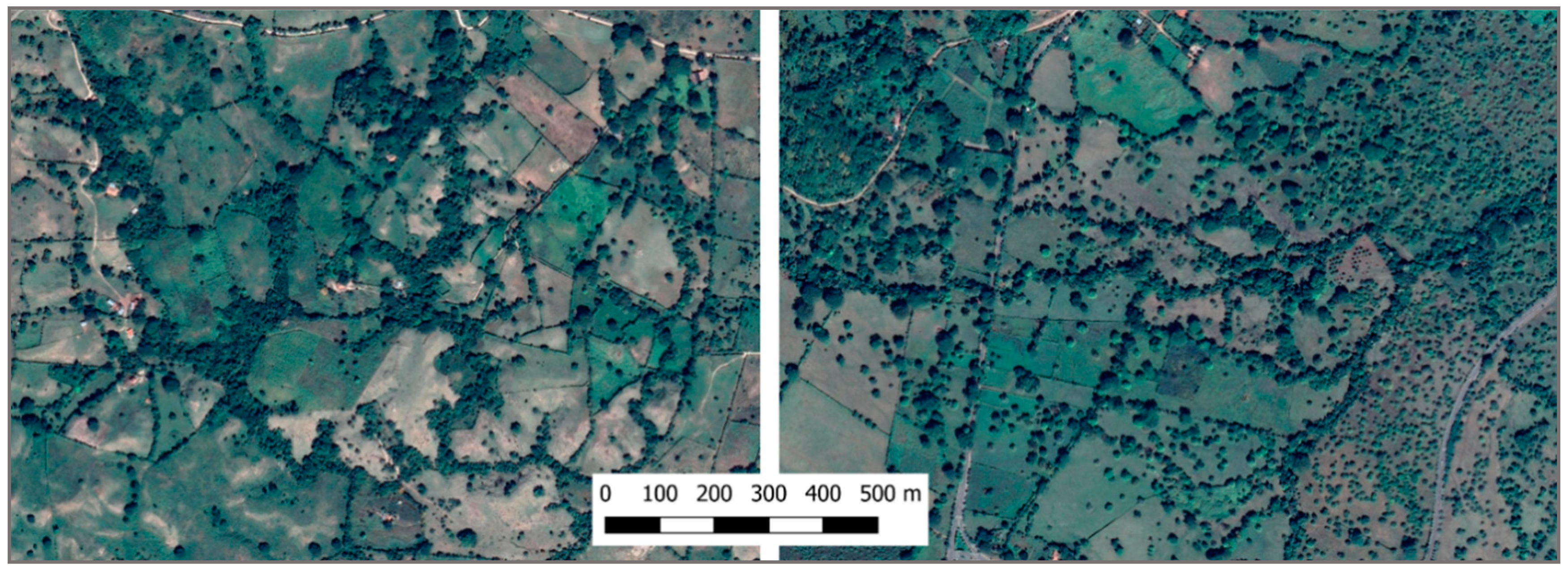 Forests 11 00747 g003 Forests 11 00747 g003