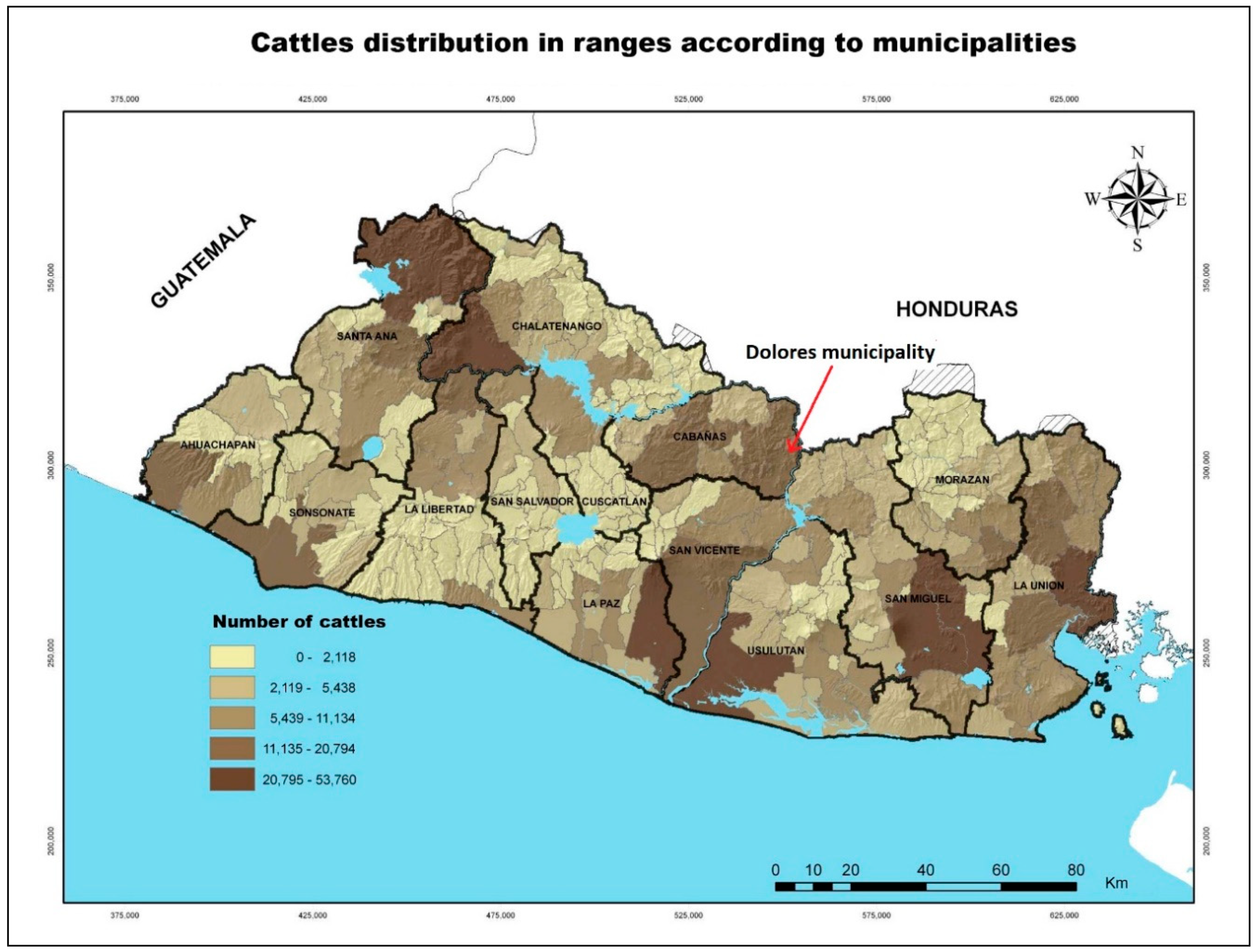 Forests 11 00747 g006 Forests 11 00747 g006