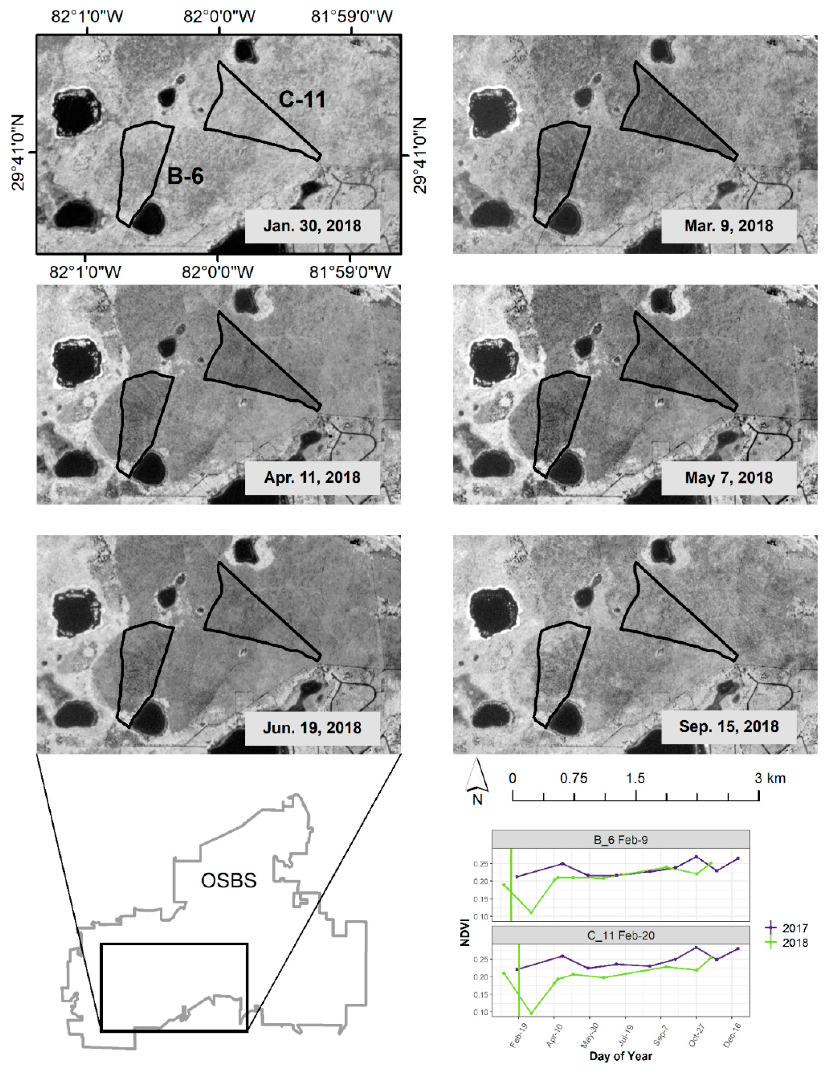 Forests 11 00749 g003 Forests 11 00749 g003