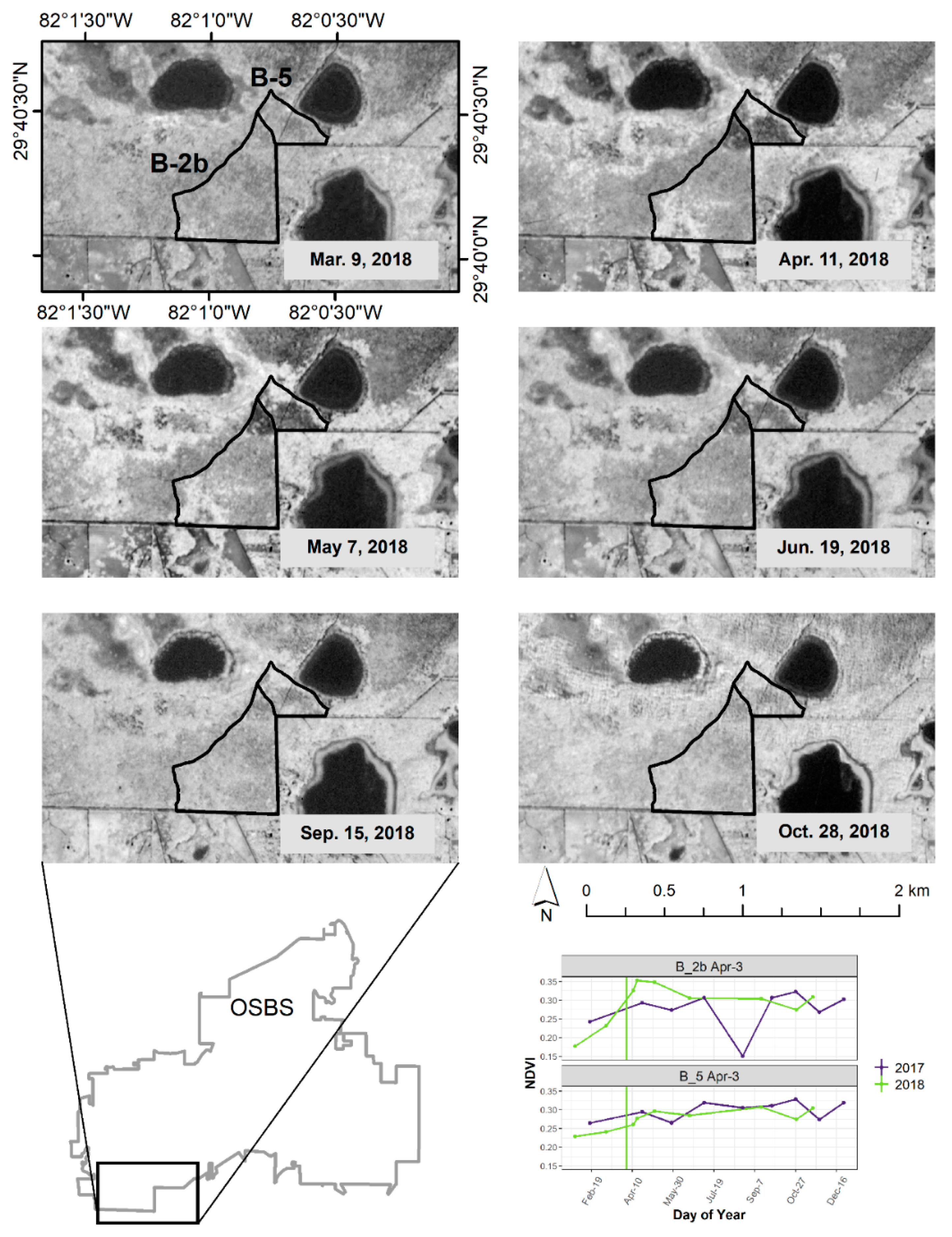 Forests 11 00749 g004 Forests 11 00749 g004