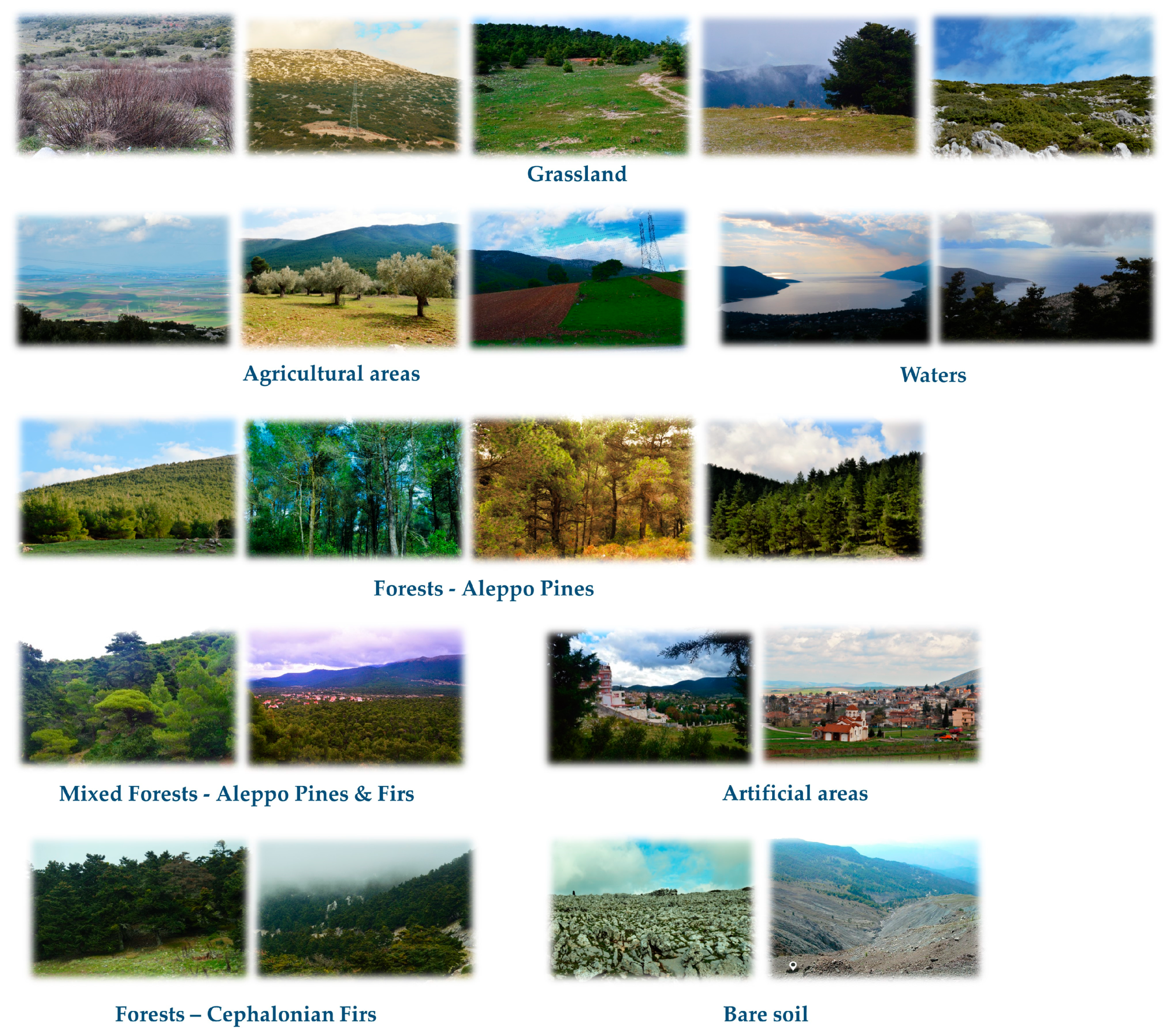 Forests 11 00750 g003