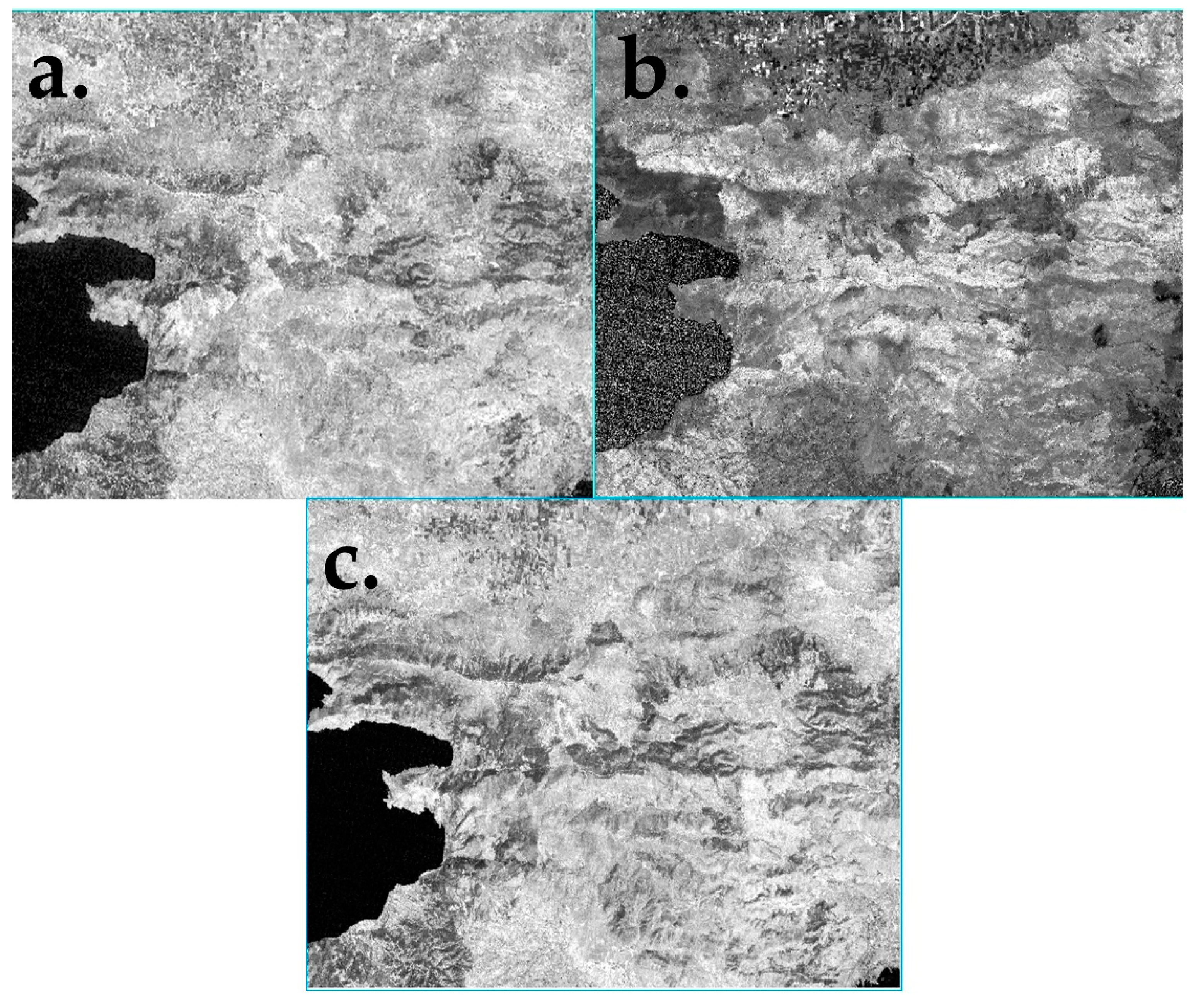 Forests 11 00750 g004