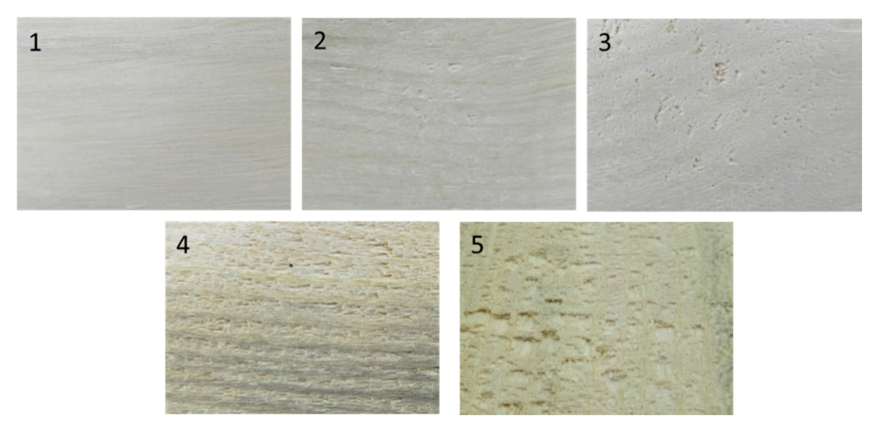 Forests 11 00752 g003