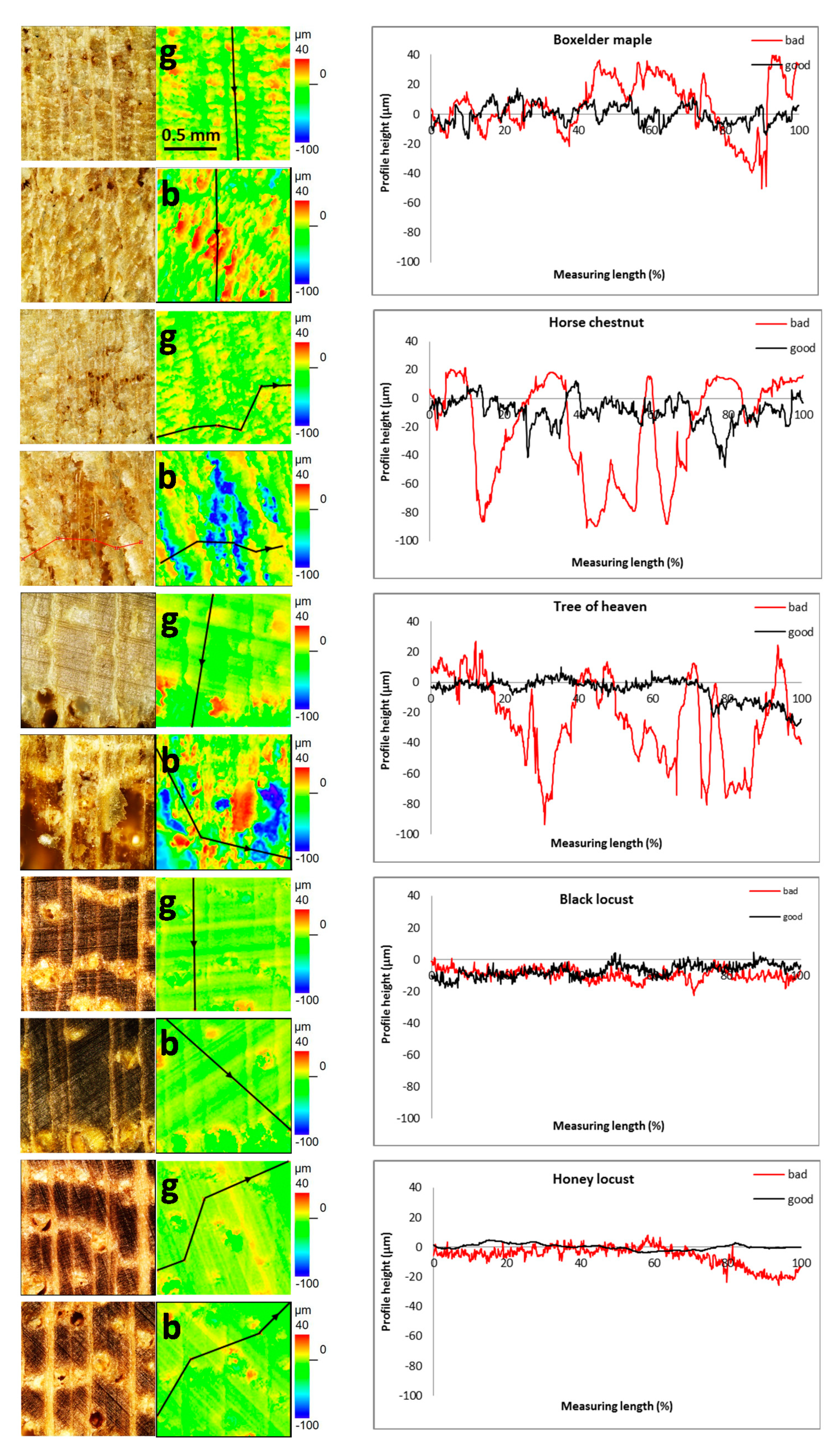 Forests 11 00752 g006