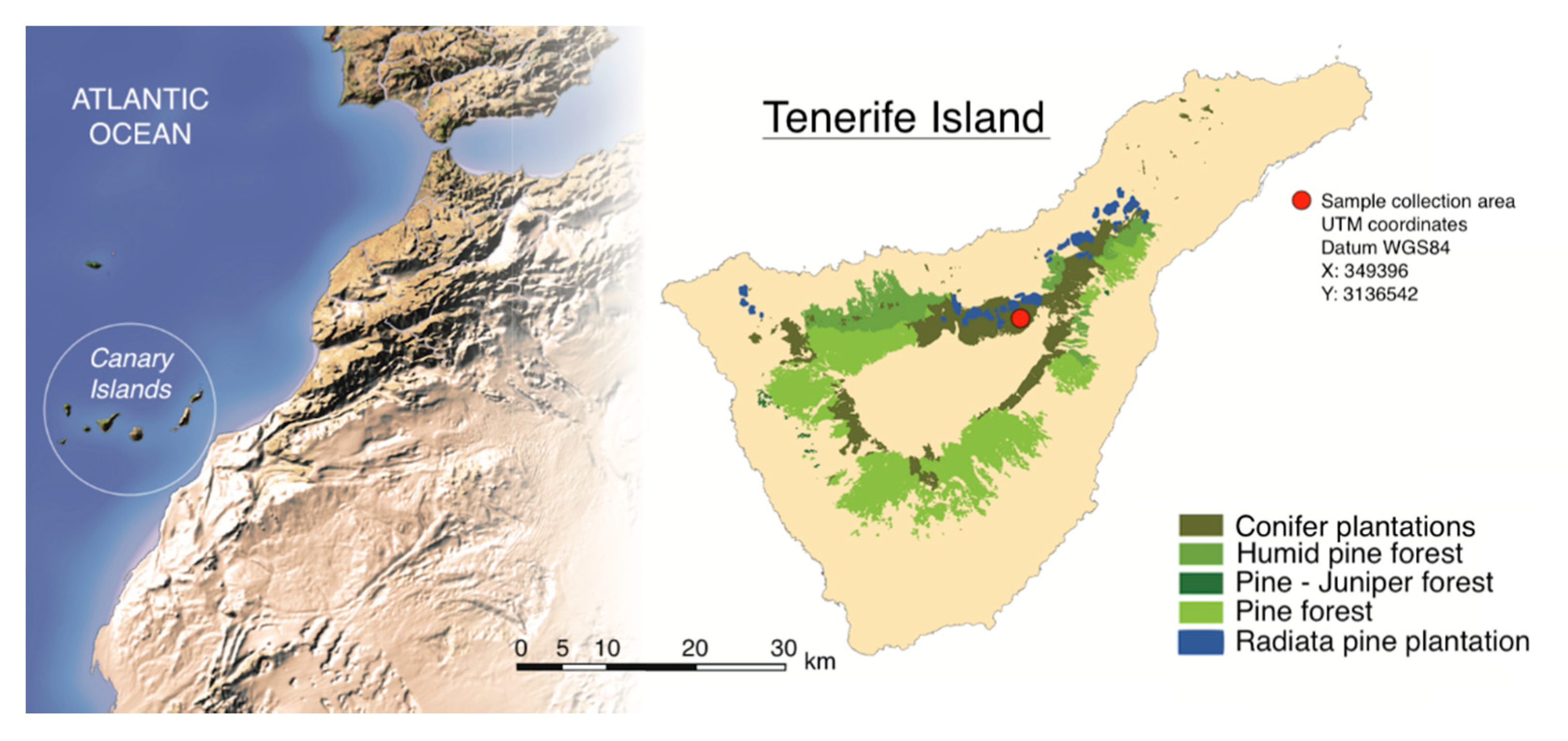 Forests 11 00769 g001