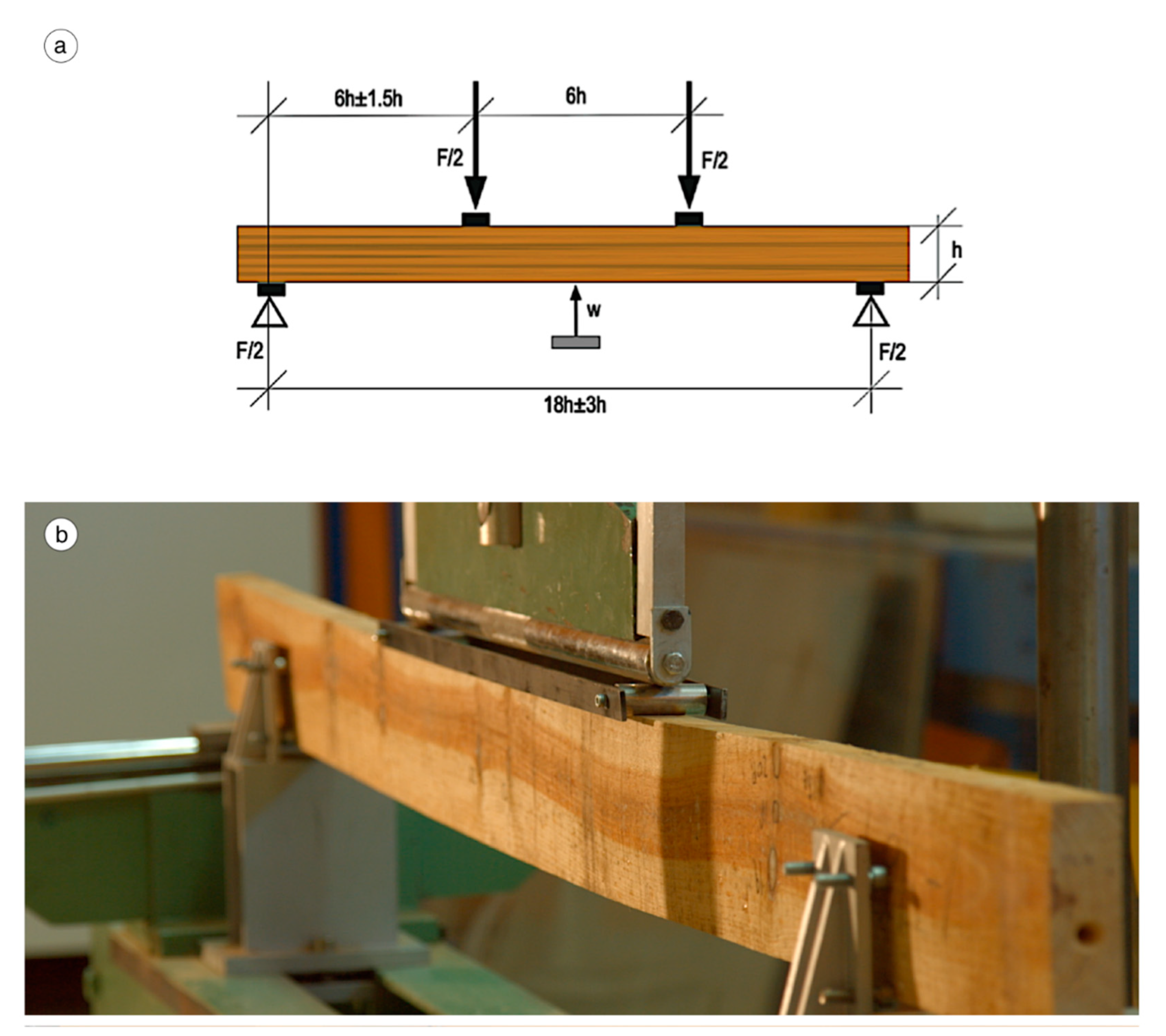 Forests 11 00769 g004