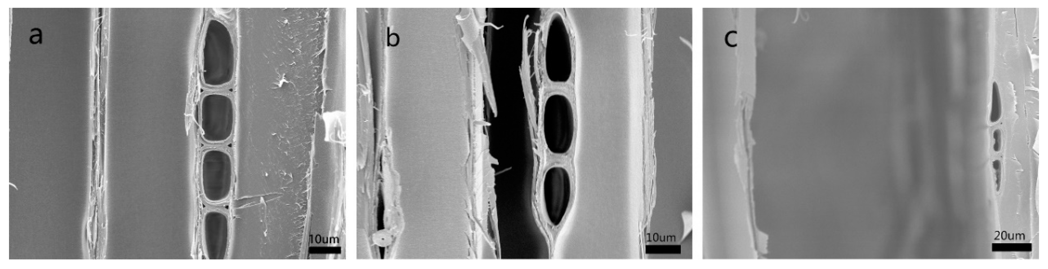 Forests 11 00772 g005