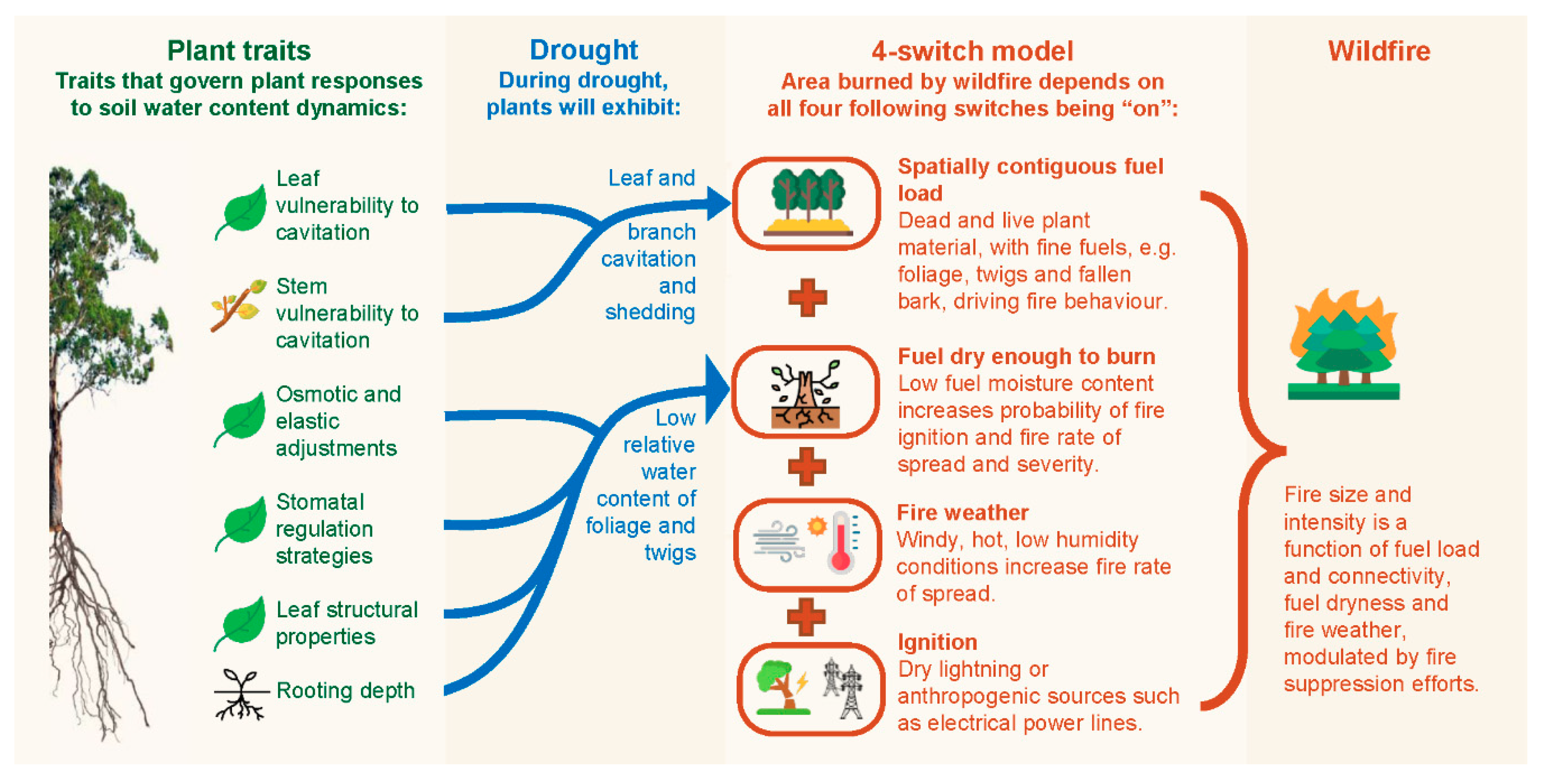 Forests 11 00779 g001 Forests 11 00779 g001