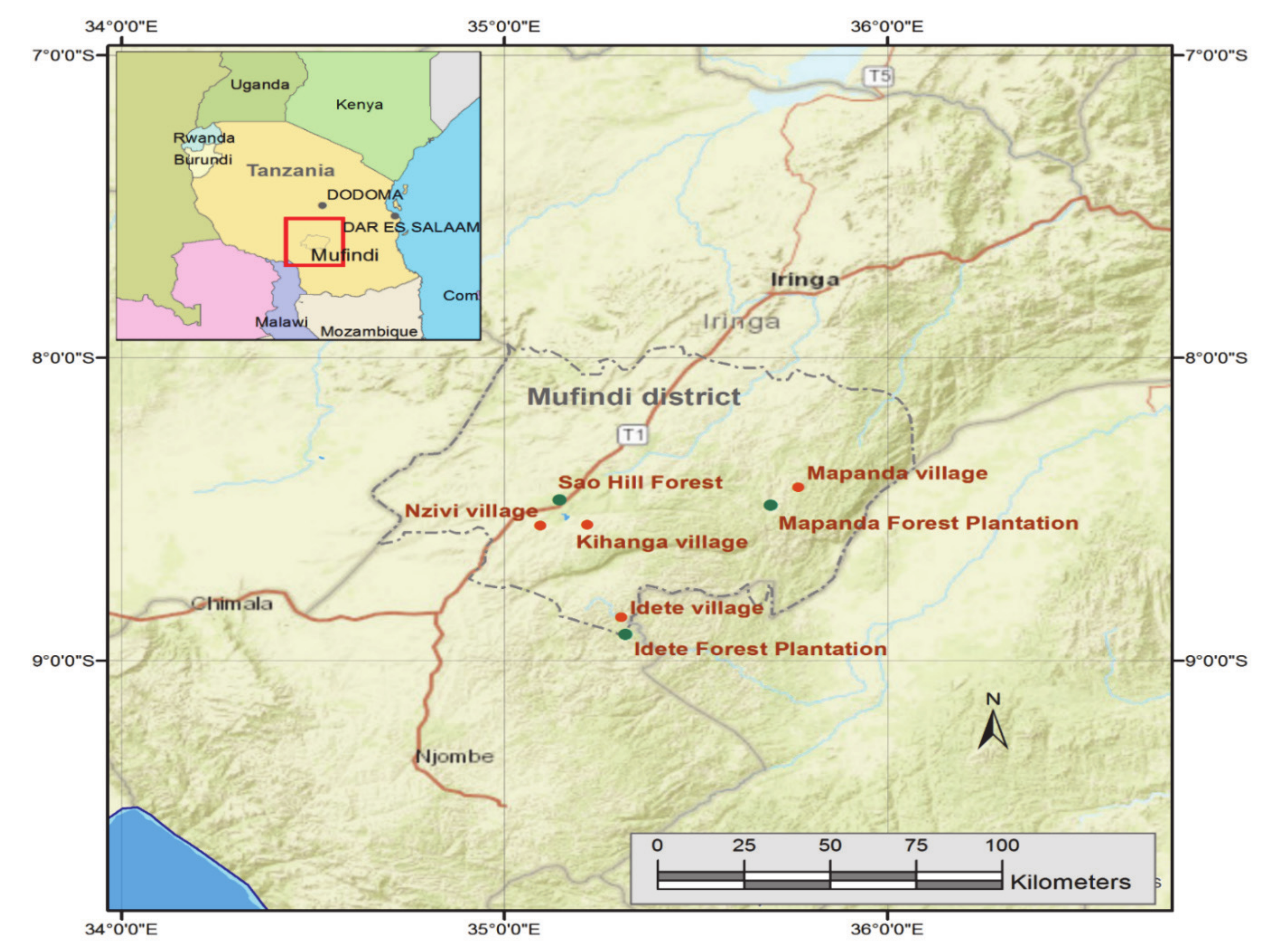 Forests 11 00782 g001