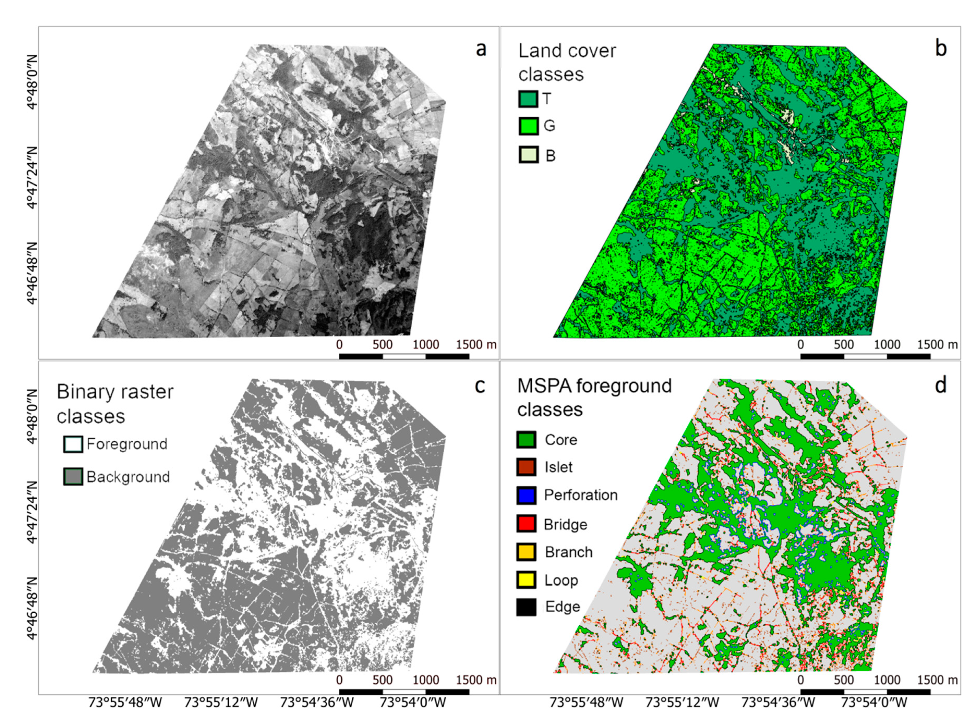 Forests 11 00788 g002 Forests 11 00788 g002