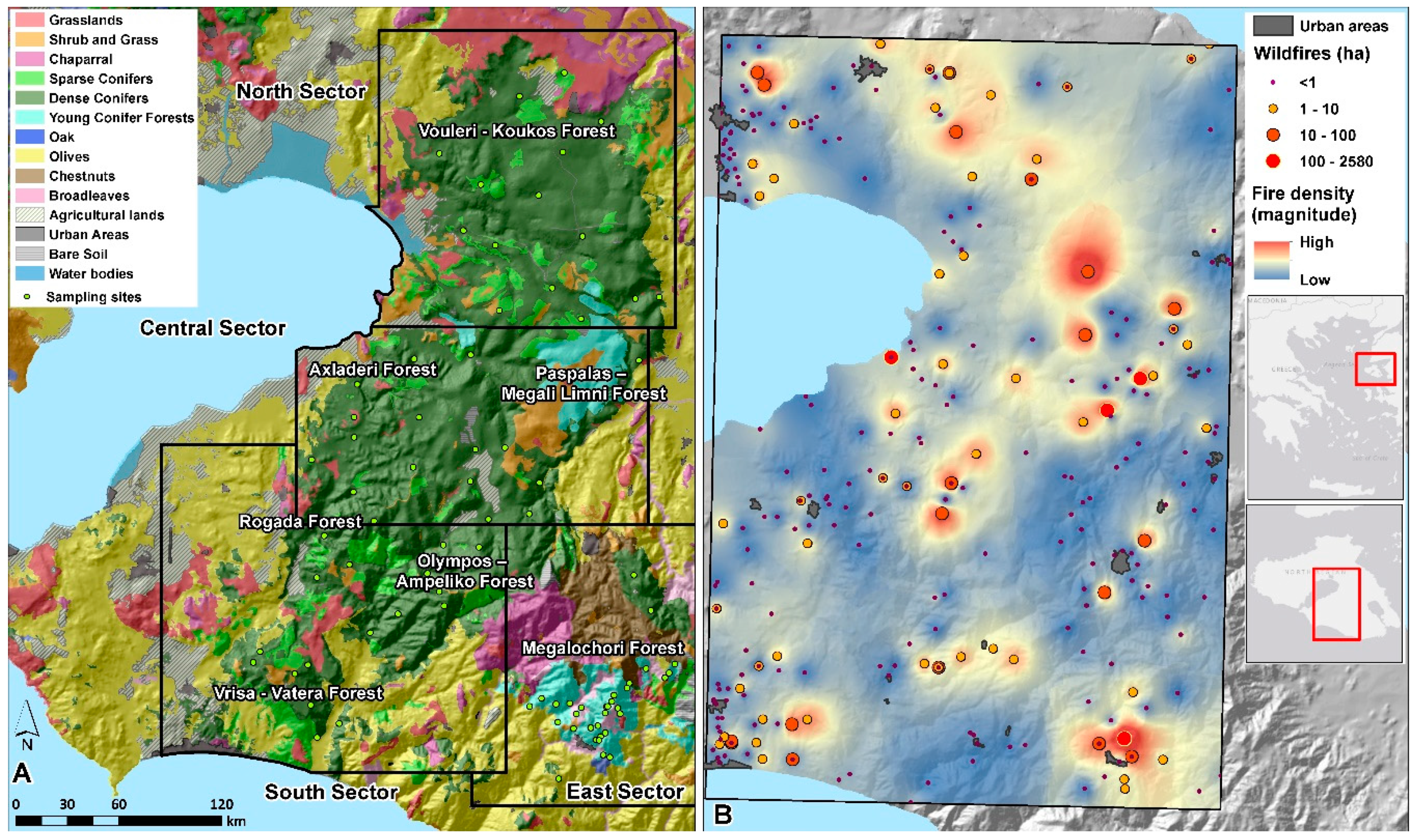 Forests 11 00789 g001