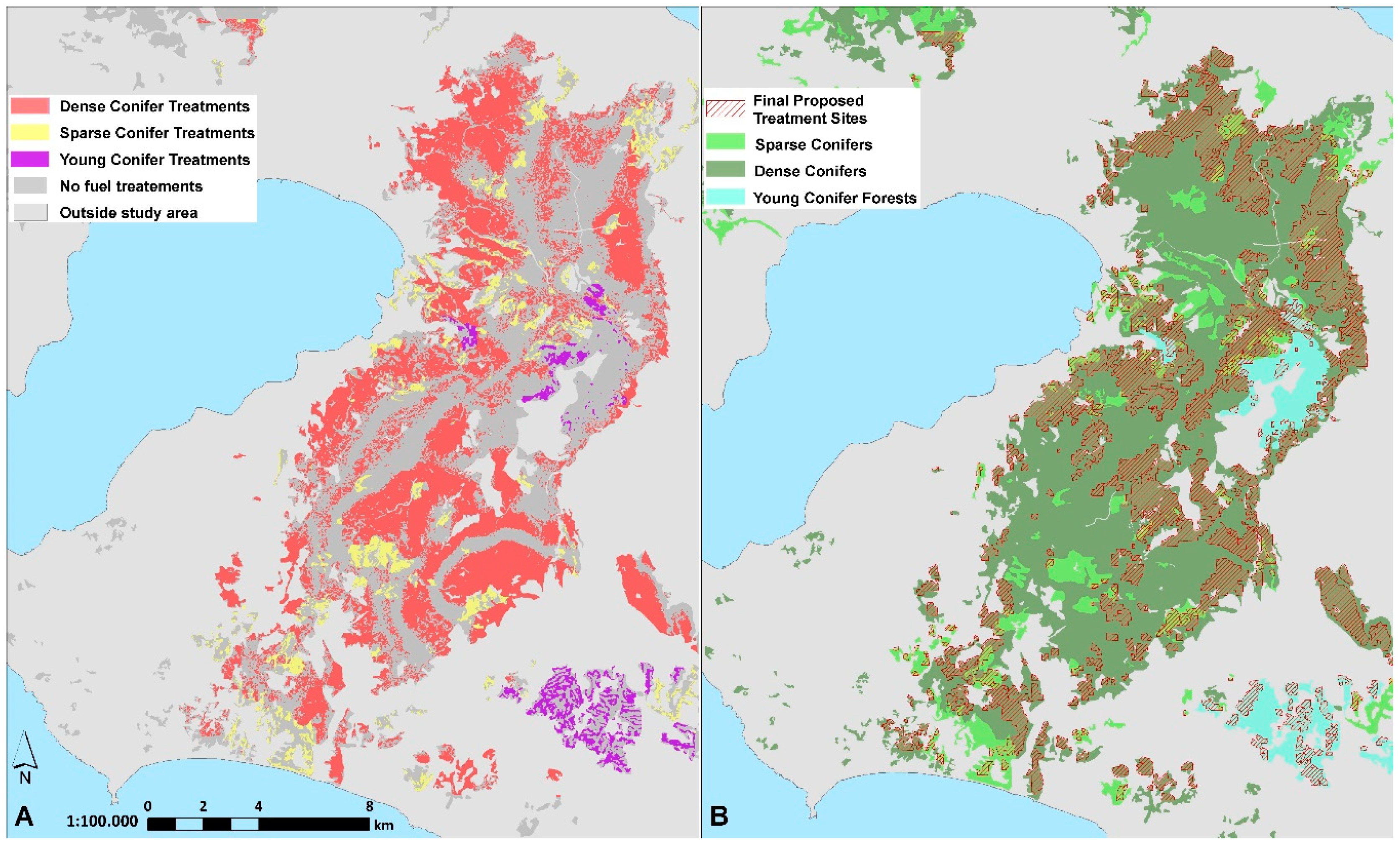 Forests 11 00789 g006
