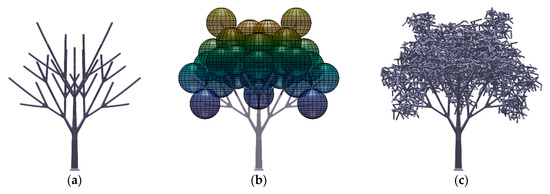 Forests 11 00803 g0a5