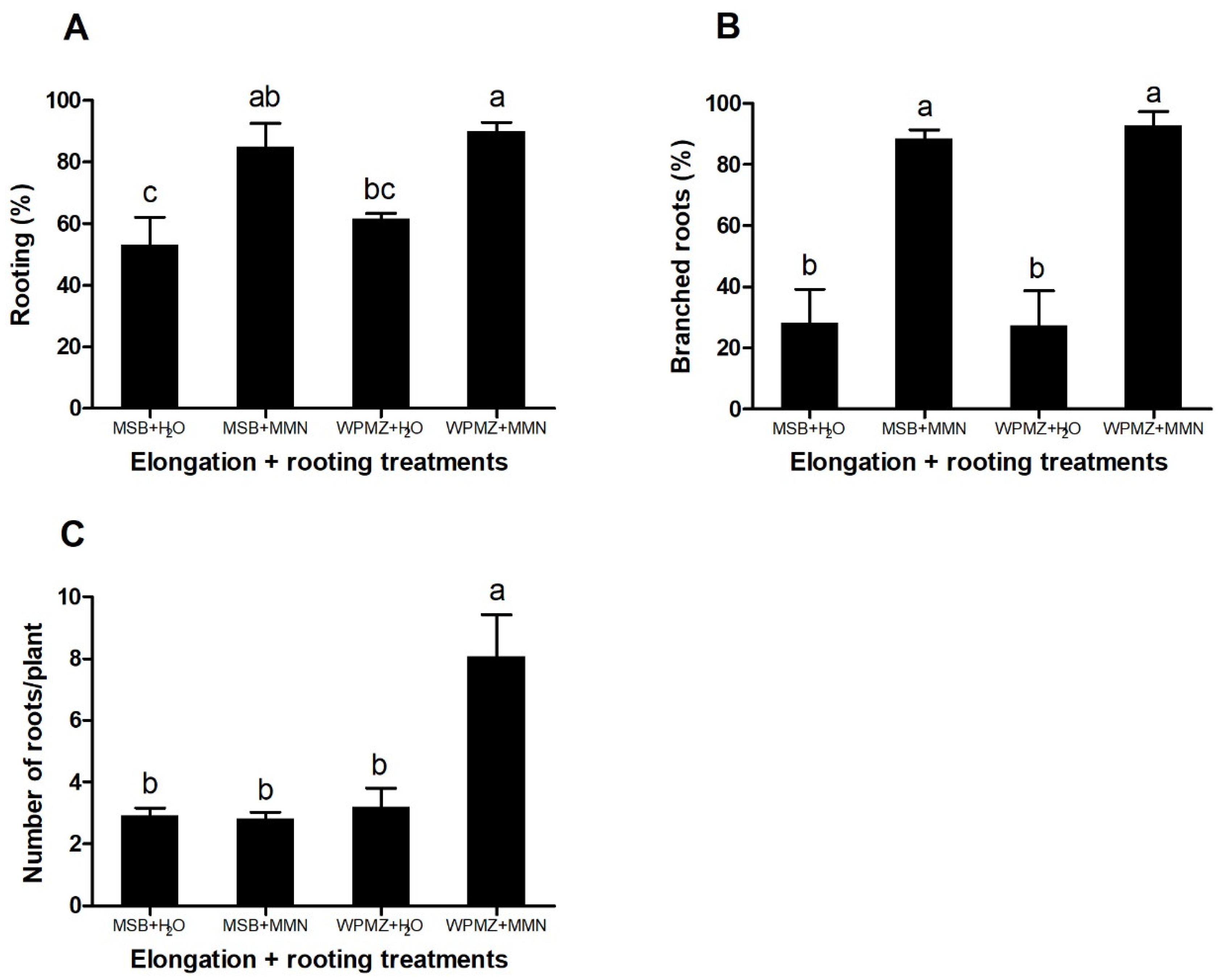 Forests 11 00826 g003