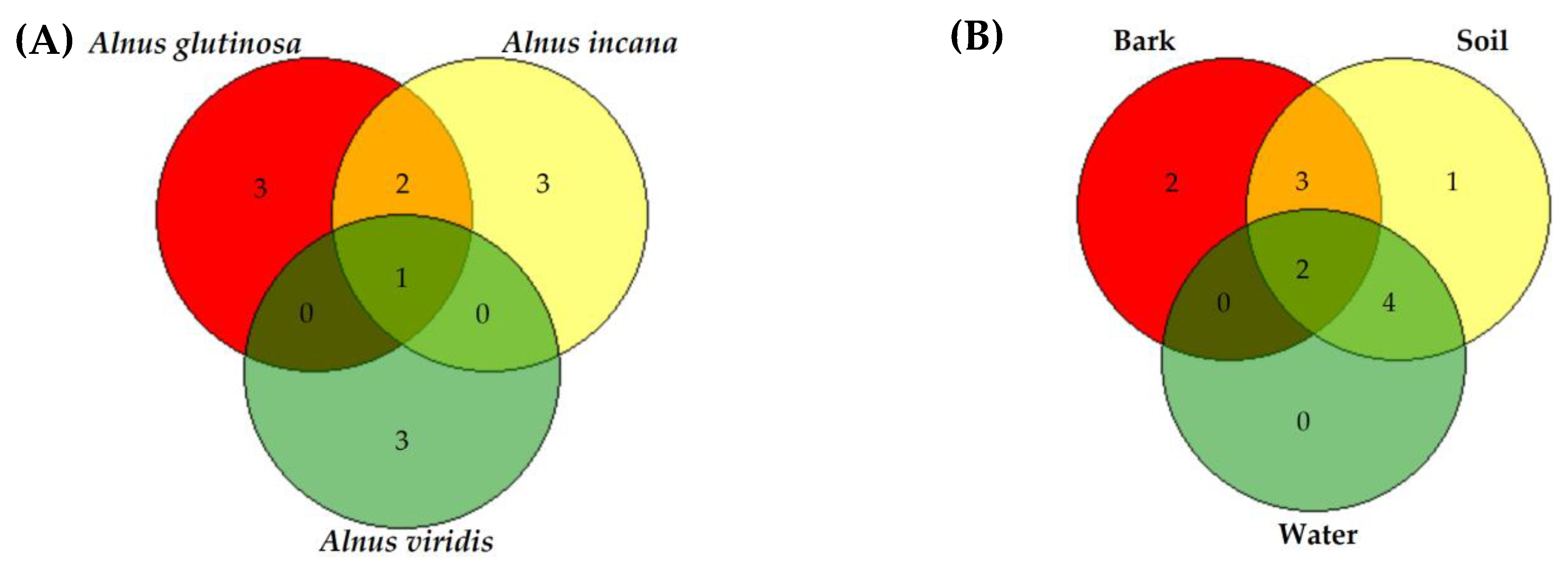 Forests 11 00848 g002