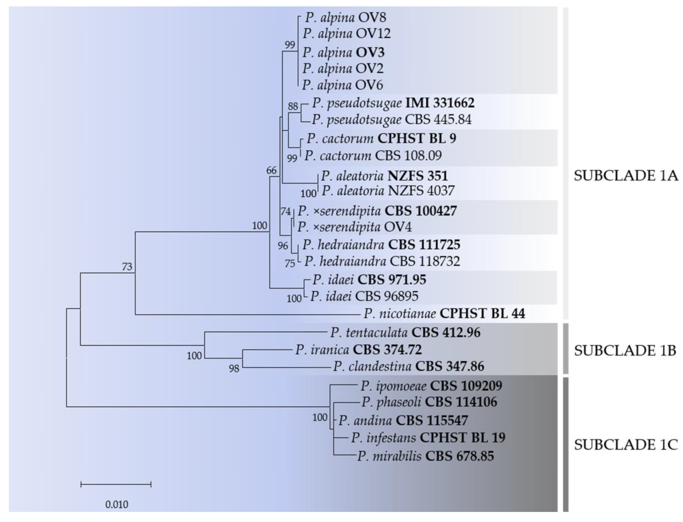 Forests 11 00848 g003