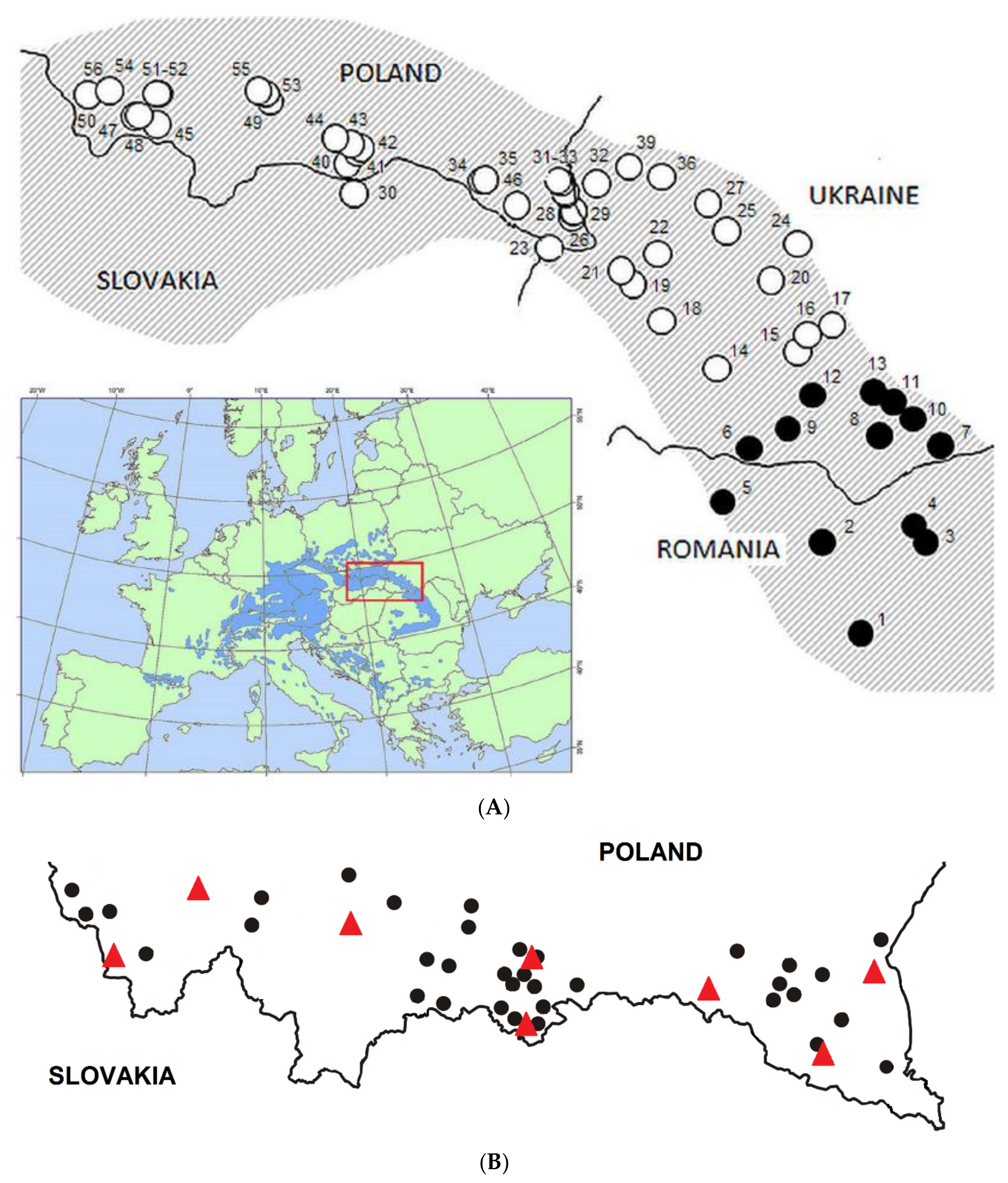 Forests 11 00849 g001